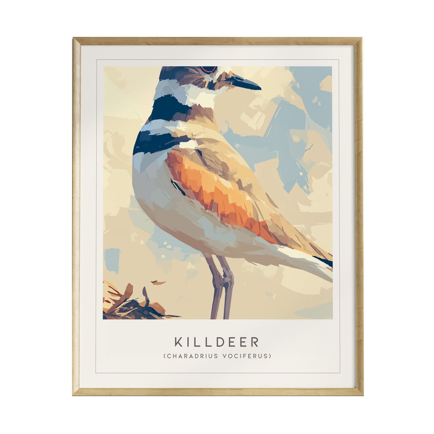 A framed poster features a stylized illustration of a killdeer bird, showcasing its distinctive orange and brown plumage. The background is a soft, abstract blend of light colors, enhancing the birds vibrant details.
