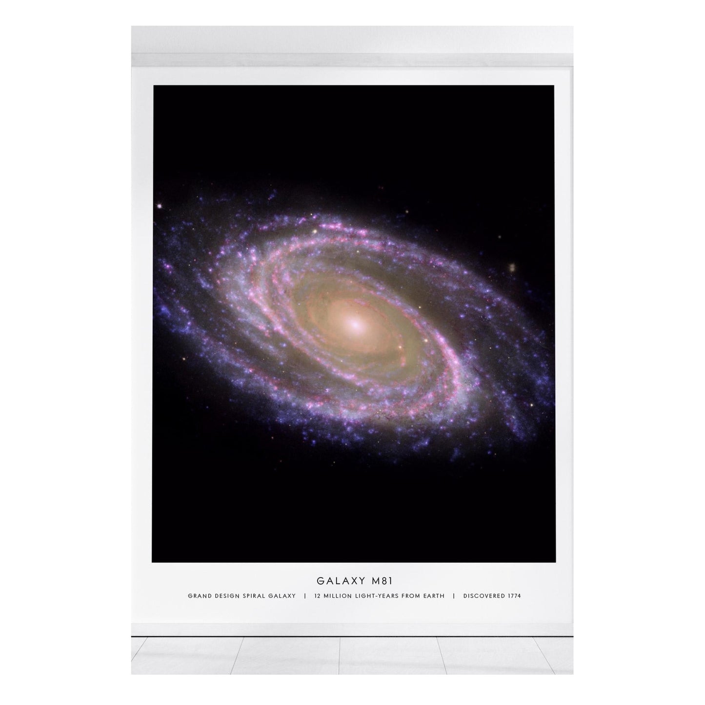 A vibrant poster of the M81 Galaxy, also known as Bodes Galaxy, features its grand design spiral with swirling shades of purple, pink, and blue against a dark background.