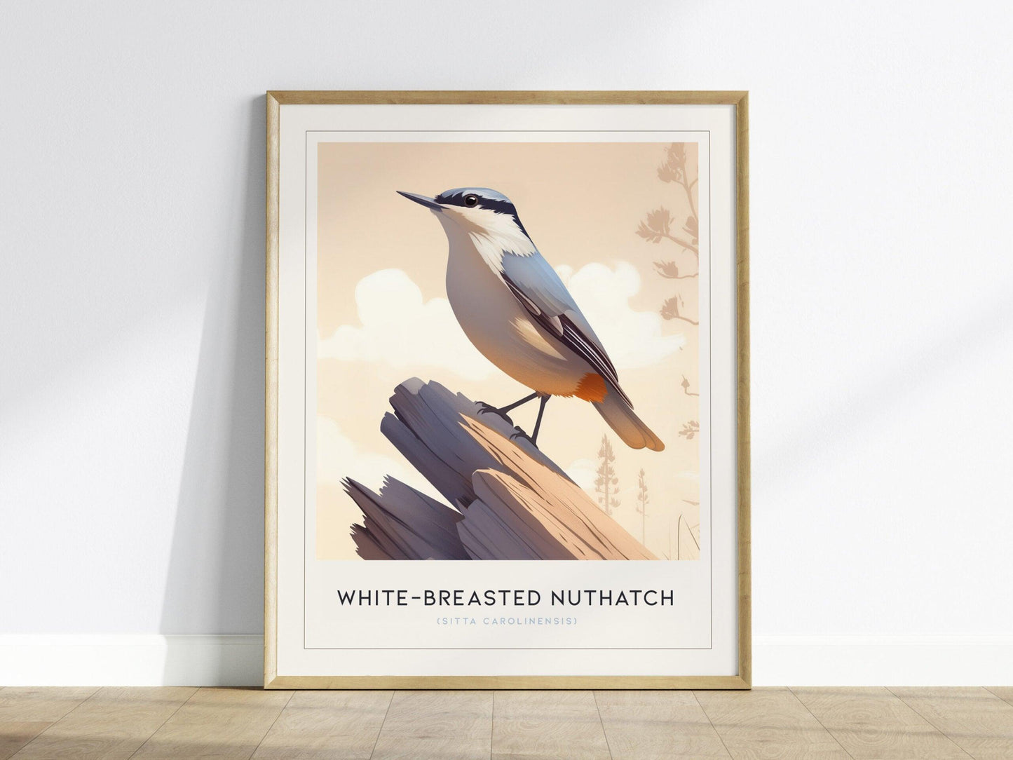 White-Breasted Nuthatch bird poster featuring minimalist illustration on branch with pastel background wildlife wall art