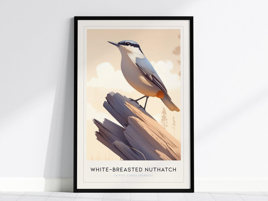 White-Breasted Nuthatch bird poster featuring minimalist illustration on branch with pastel background wildlife wall art