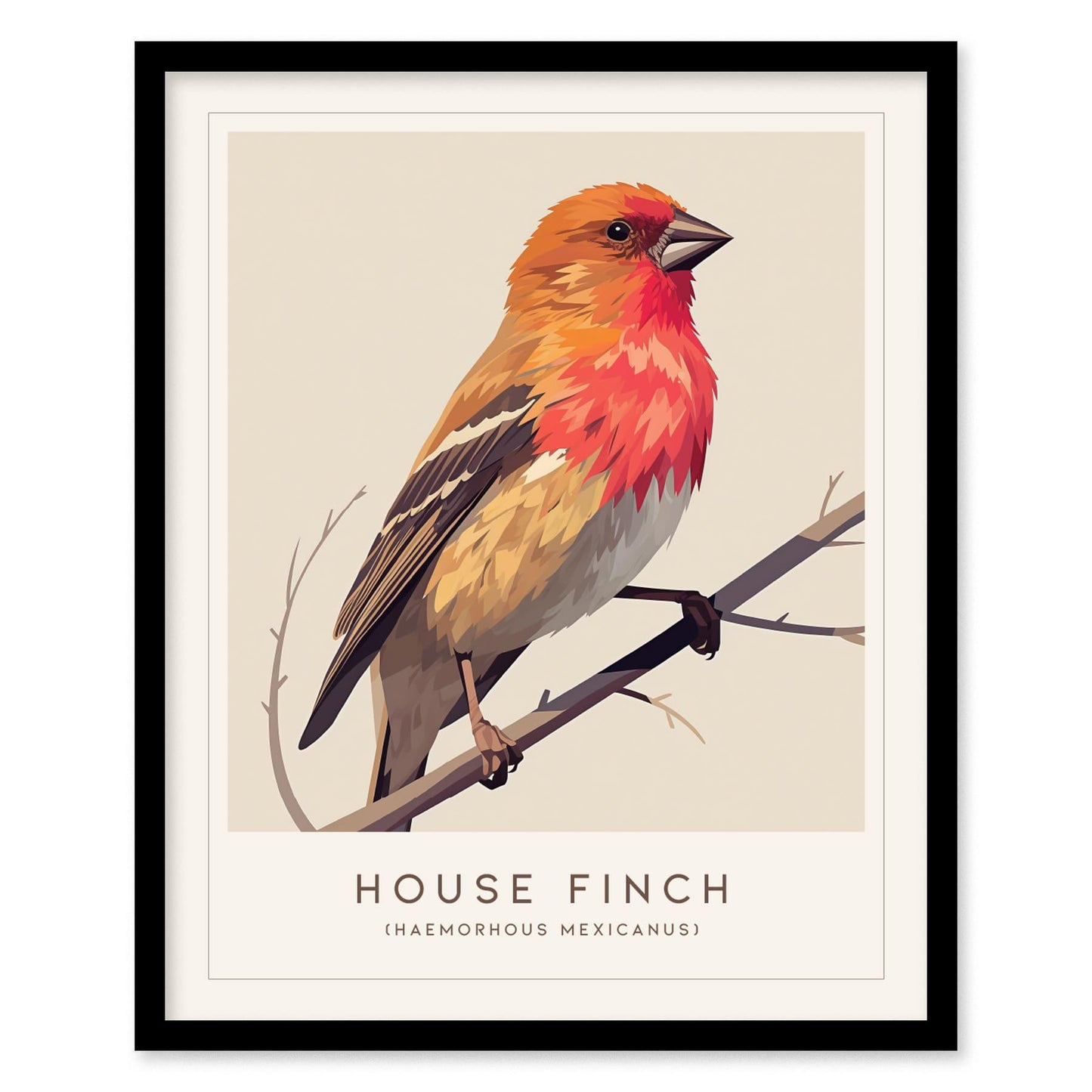 House Finch Framed Poster | Vibrant Bird Illustration Print | National Audubon Wildlife Wall Art | Bird Watcher Nature Lover Farm House Cottagecore Decor - Swell Scenes