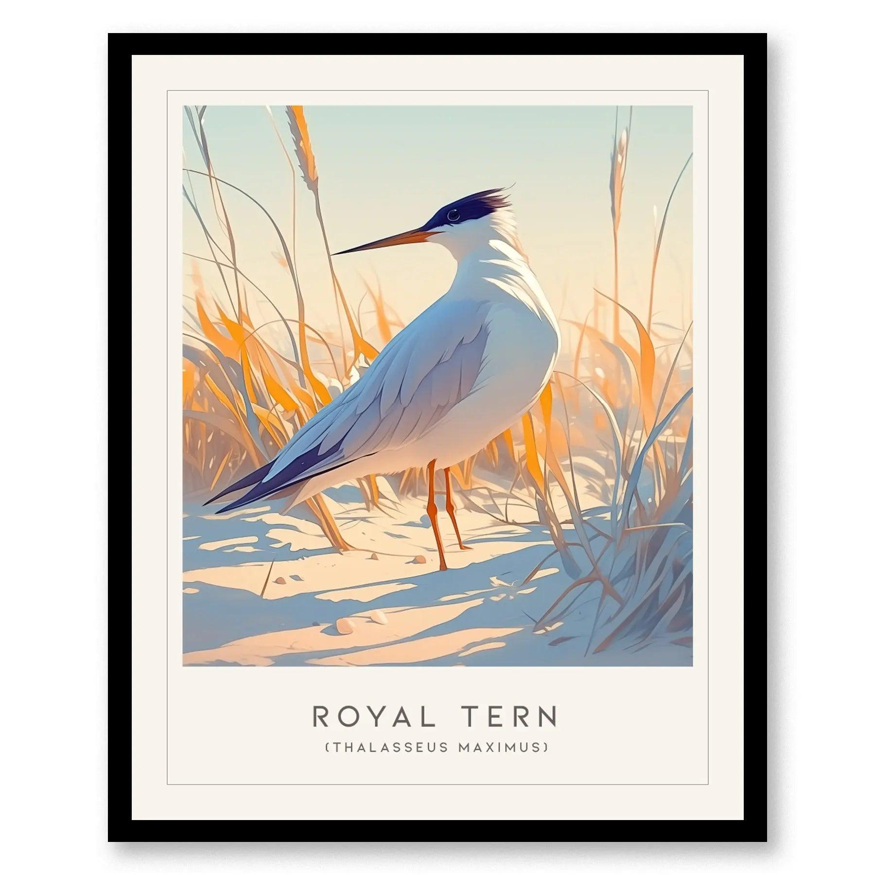 Royal Tern Framed Poster | Beach Bird Lover Modern Wall Art | Audubon Tropical Nature Print | Coastal Cottage Decor - Swell Scenes