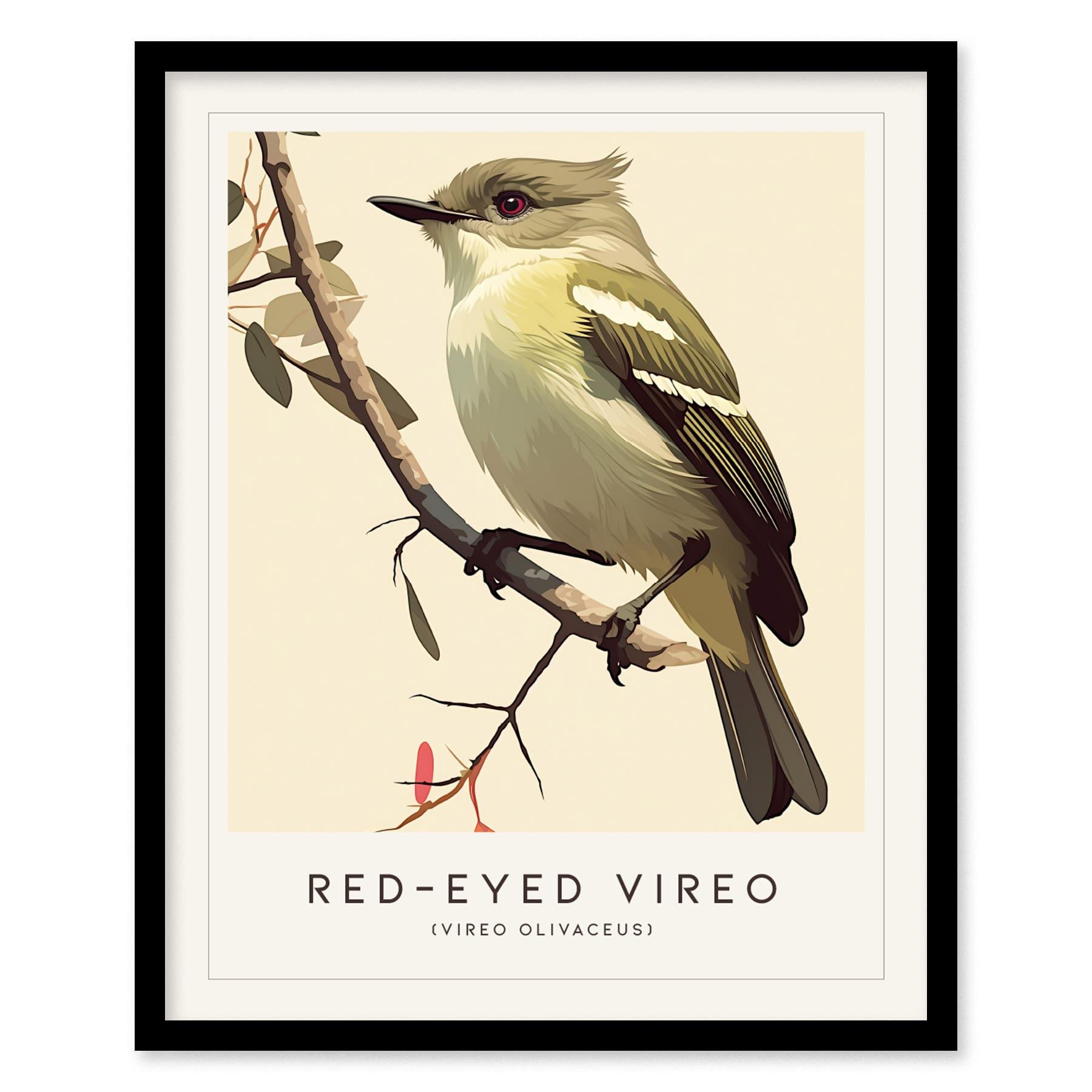 Red-eyed Vireo Framed Bird Poster | Audubon Avian Wall Art Print | Nature Lover Farm House Cottagecore Home Decor - Swell Scenes
