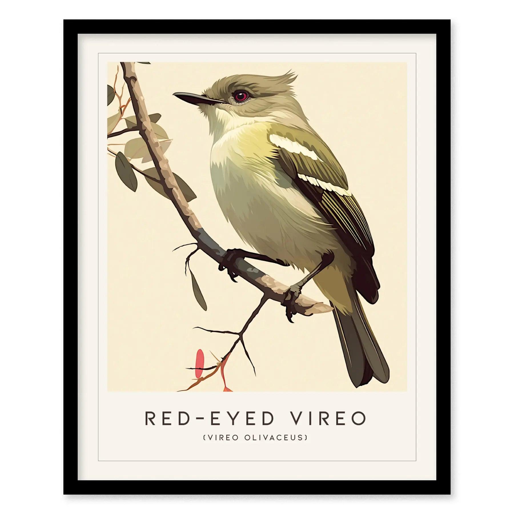 Red-eyed Vireo Framed Bird Poster | Audubon Avian Wall Art Print | Nature Lover Farm House Cottagecore Home Decor - Swell Scenes