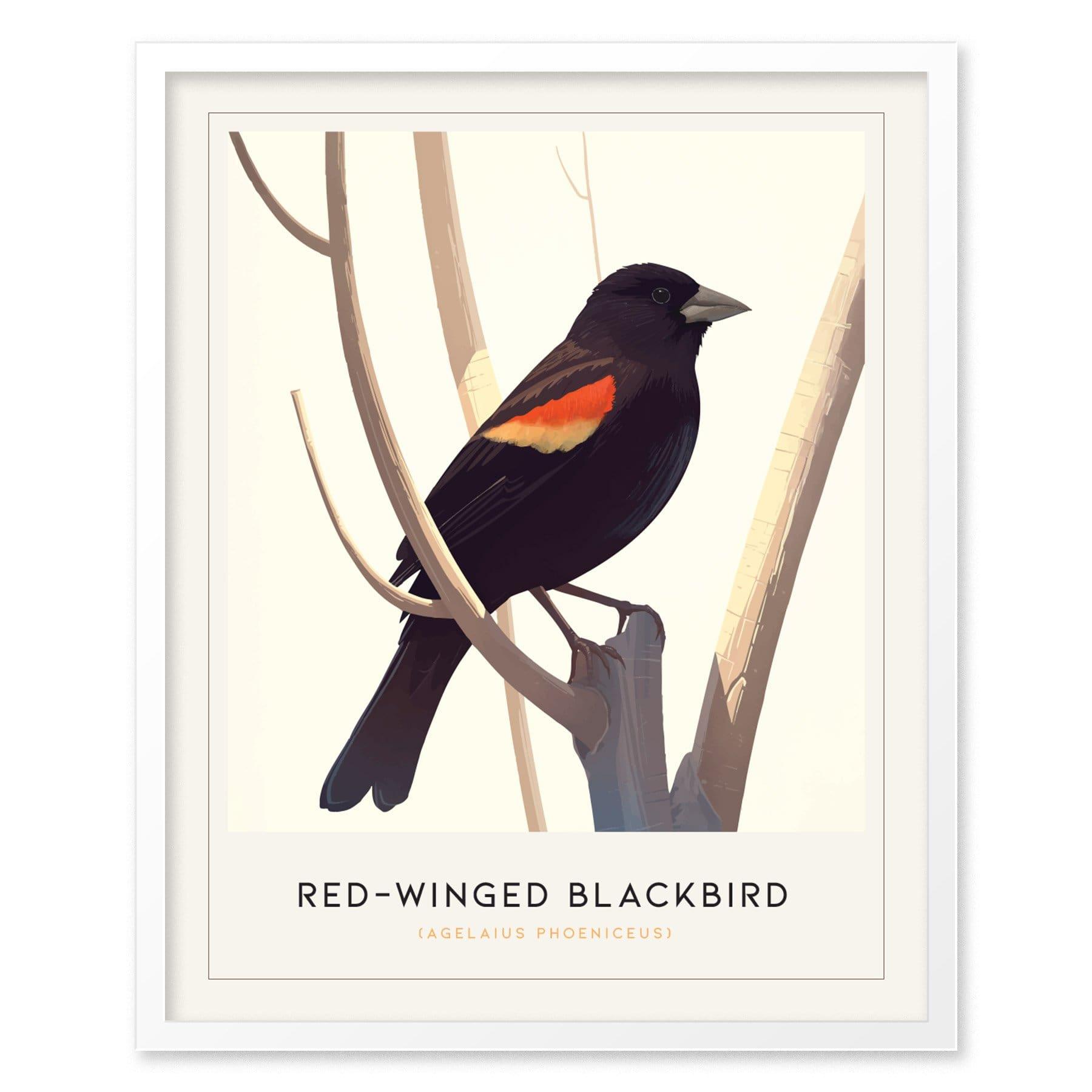 Red-Winged Blackbird Poster | Minimalist Bird Art Print | Perfect for Nature Lovers & Modern Home Decor - Swell Scenes