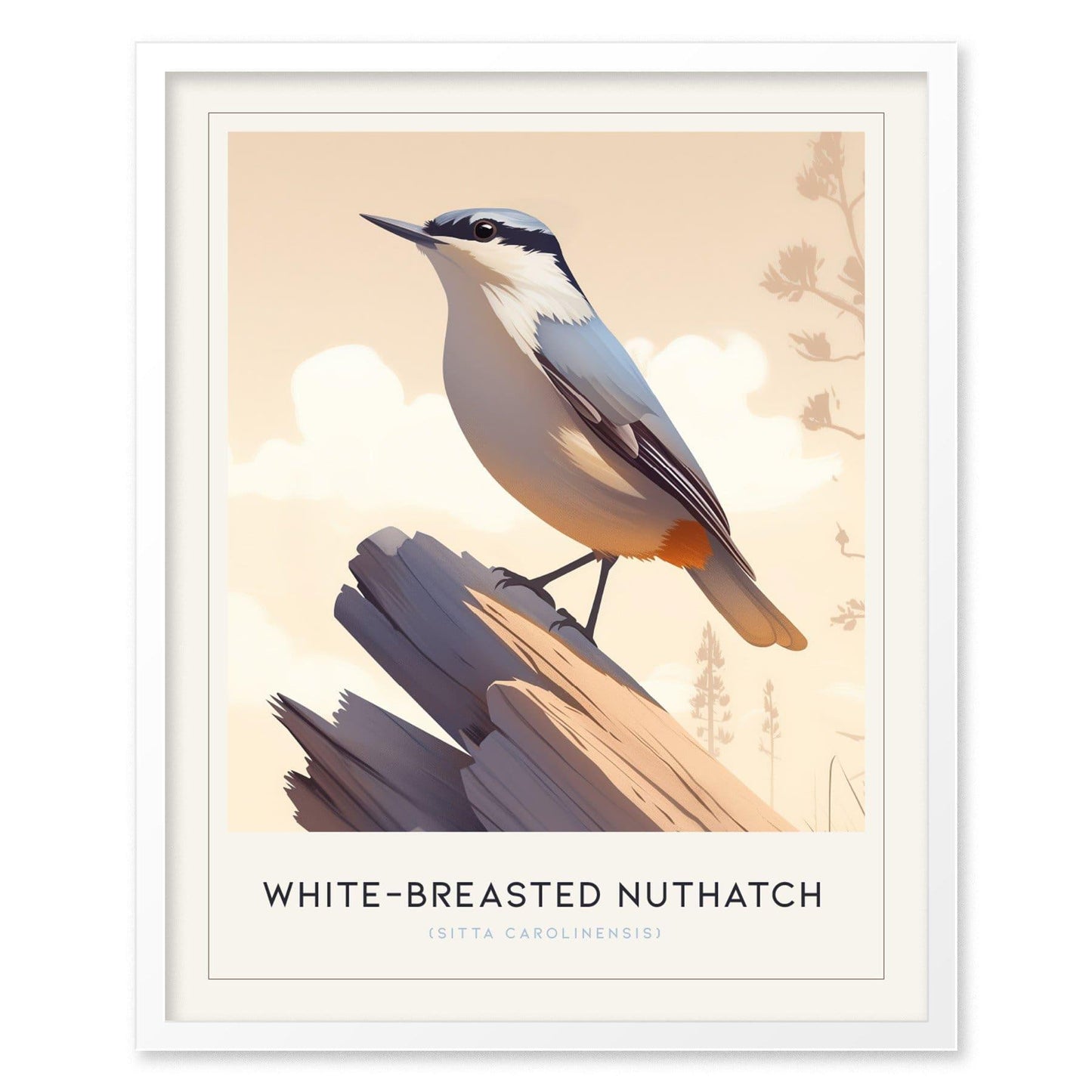 Framed artwork of a white-breasted nuthatch bird on a branch with a soft background.
