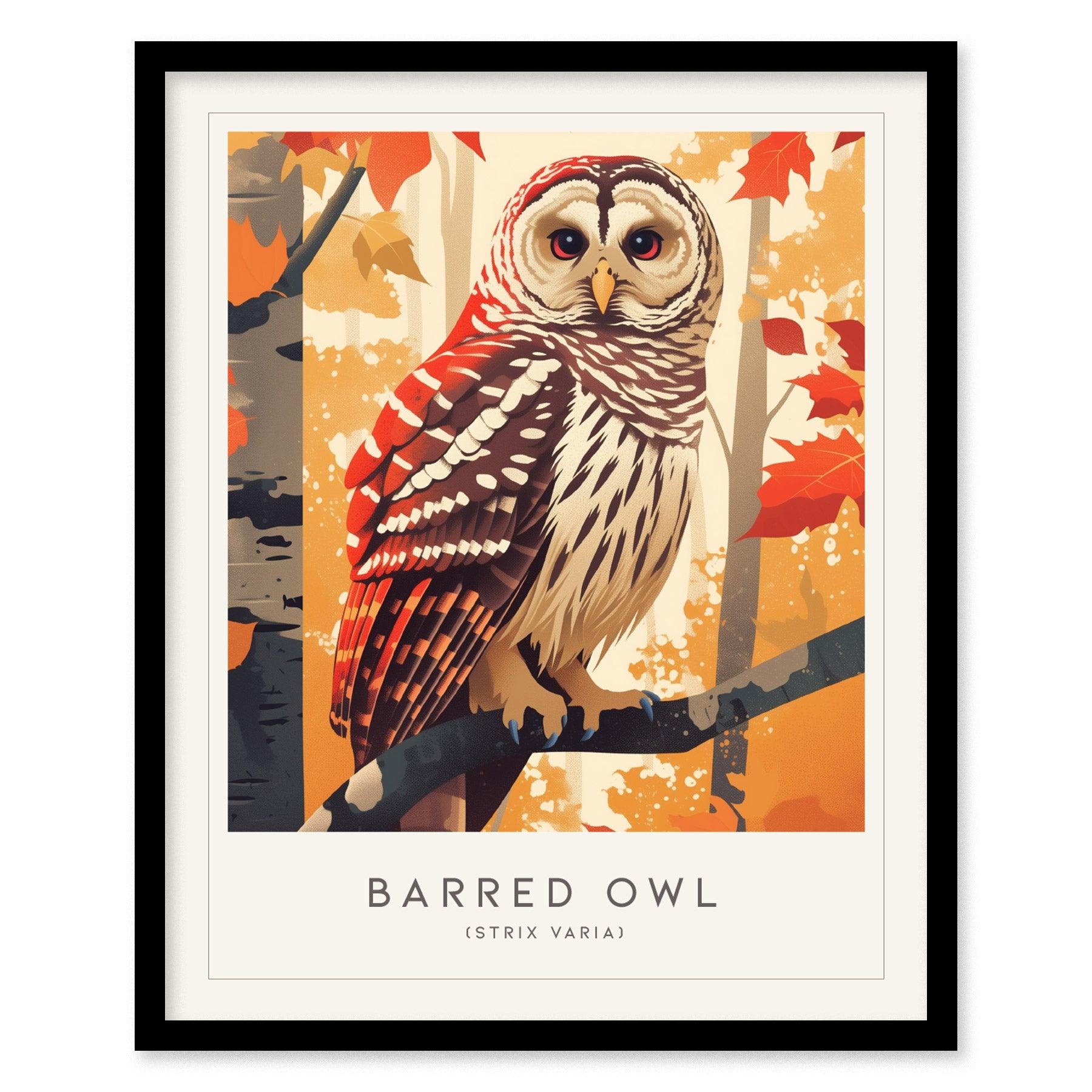 Barred Owl Framed Poster | Hoot Owl Nature Bird Lover Nature Modern Wall Art | Bird Of Prey Audubon Print Farm House Decor - Swell Scenes