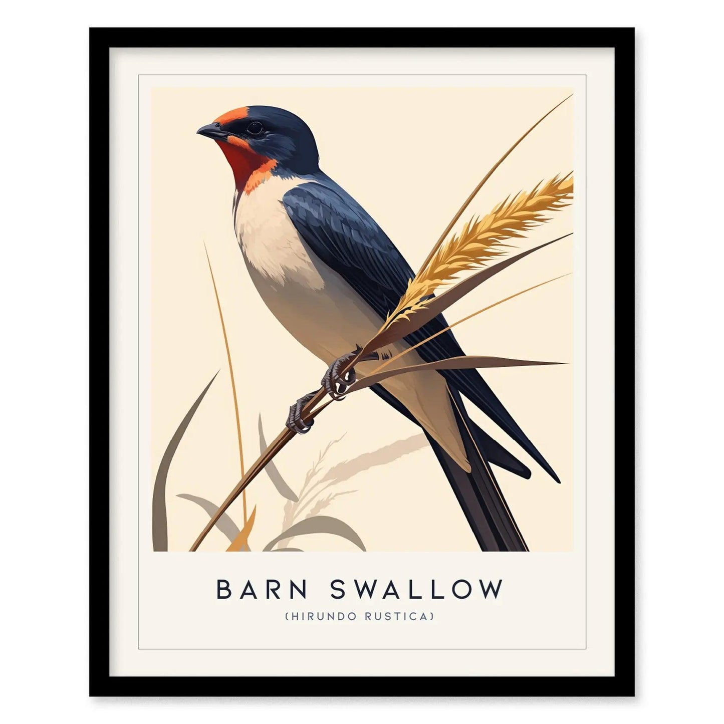 Barn Swallow Bird Framed Poster | Graceful Flight Audubon Fine Art | Cottagecore Wildlife Modern Design Print | Farm House Wall Decor - Swell Scenes