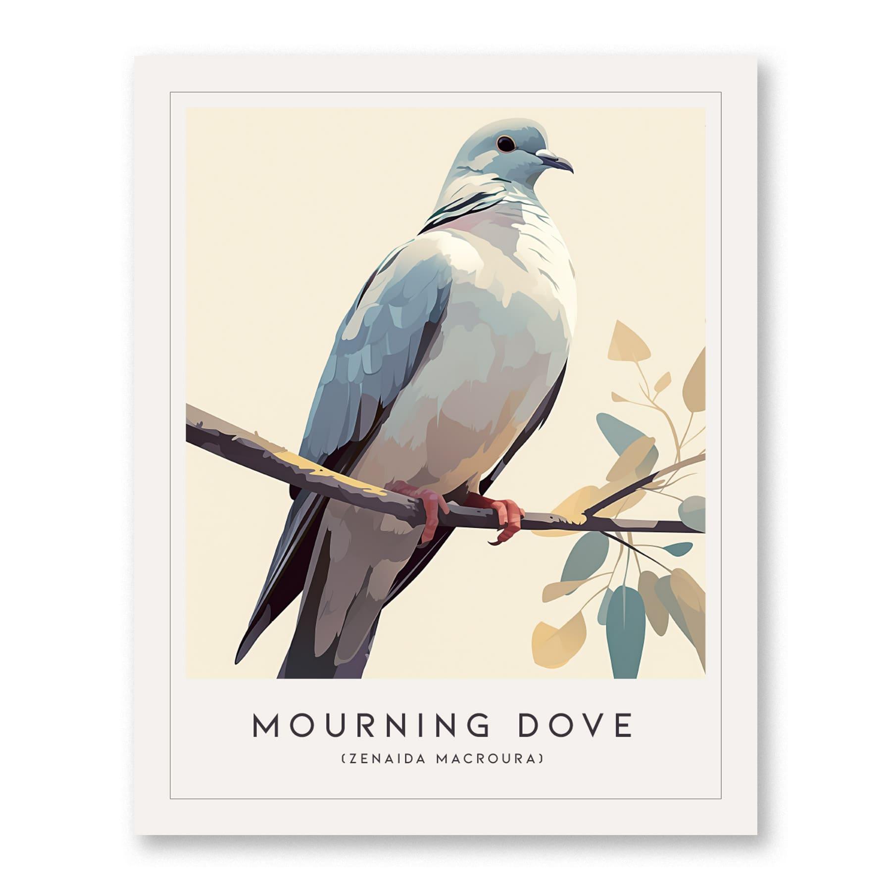 Mourning Dove Framed Bird Poster | Tranquil Avian Audubon Wall Art | Birdwatcher Nature Lover Farm House Cottagecore Home Decor Modern Print - Swell Scenes