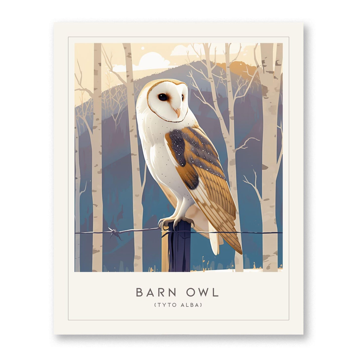 Barn Owl Bird Lover Modern Framed Wall Art | Cottagecore Audubon Wildlife Poster | Rustic Farm House Nature Decor | Cozy Cabin Winter Snow Print - Swell Scenes