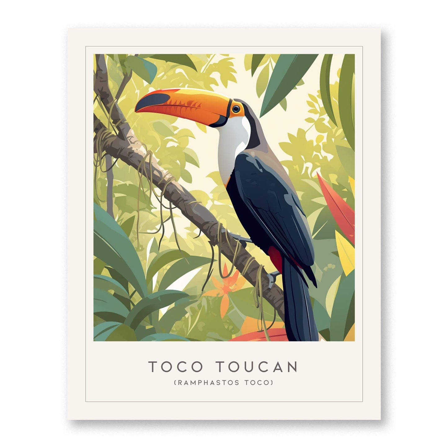 Toco Toucan Framed Poster | Tropical Bird Lover Modern Wall Art | South America Nature Print | Rainforest Decor - Swell Scenes