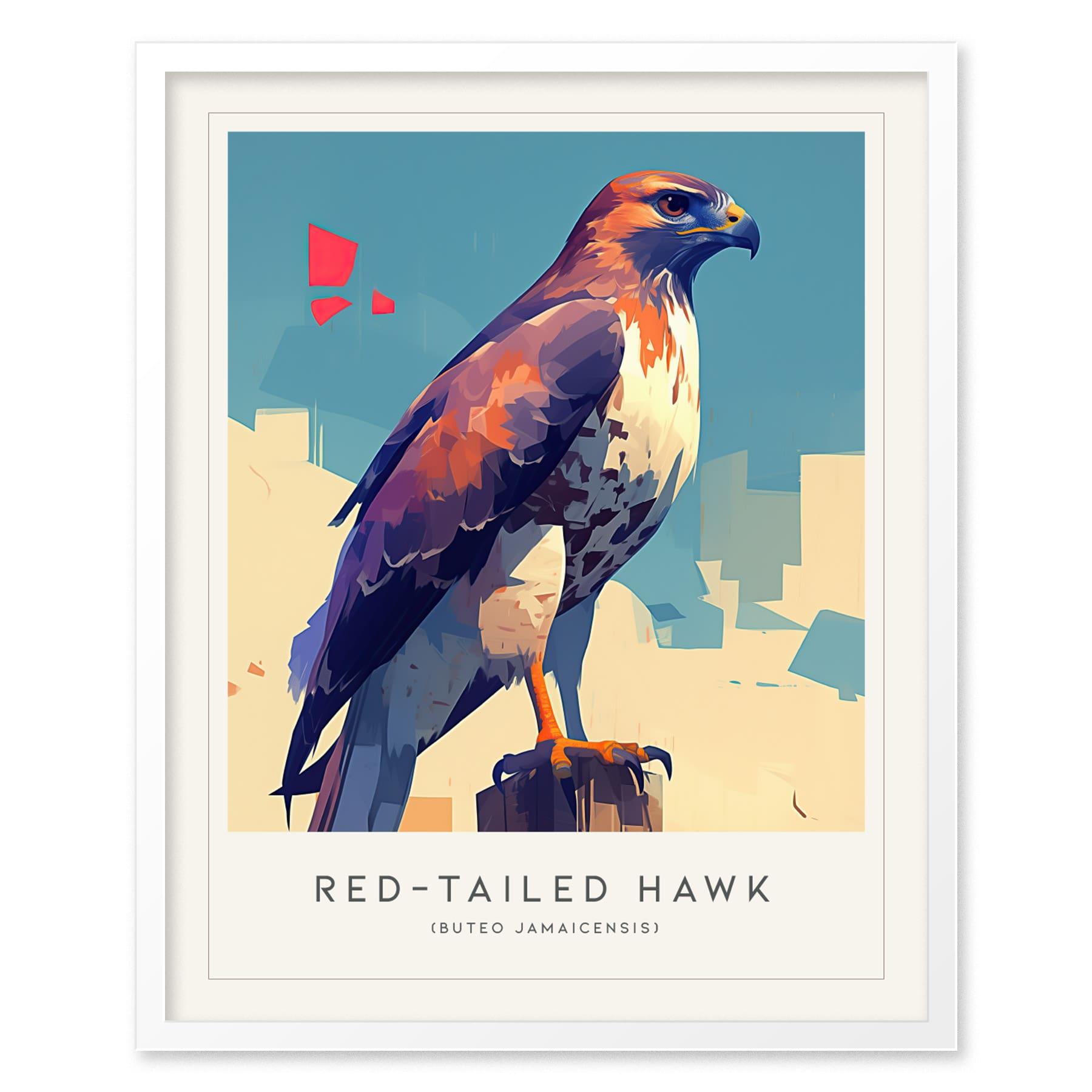 Red-tailed Hawk Modern Framed Wall Art | Cottagecore Minimalist Wildlife Poster | Red Tail Bird of Prey Audubon Print | Farm House Nature Decor - Swell Scenes