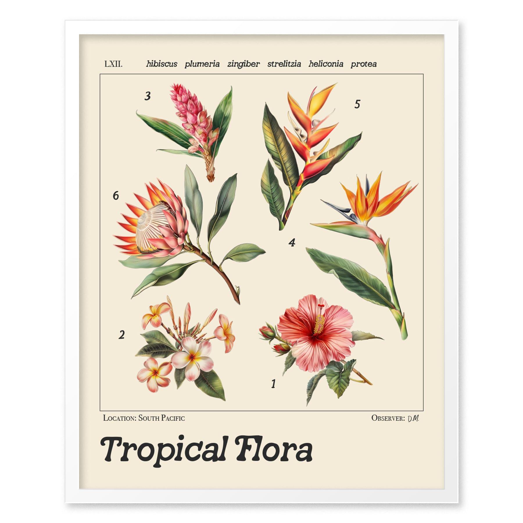 Flower Wall Art Plumeria Floral Print