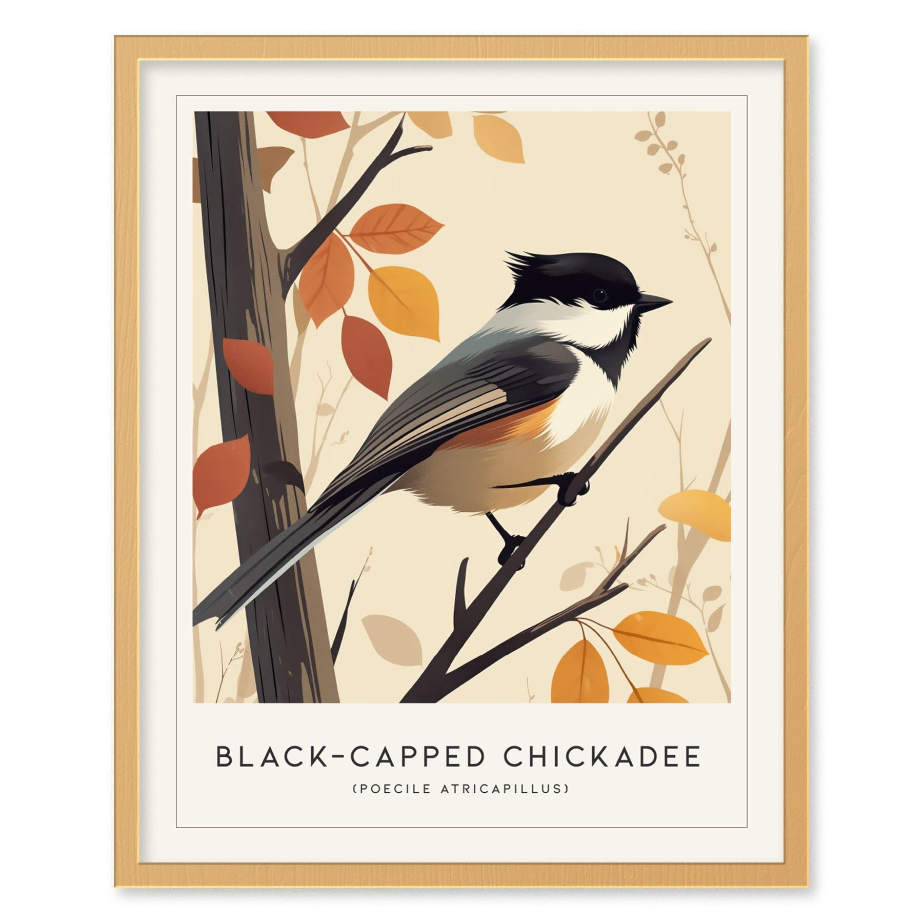 Black-capped Chickadee Songbird Modern Framed Wall Art | Cottagecore Minimal Nature Wildlife Poster | Audubon Farm House Decor | Bird Watcher Print Gift - Swell Scenes