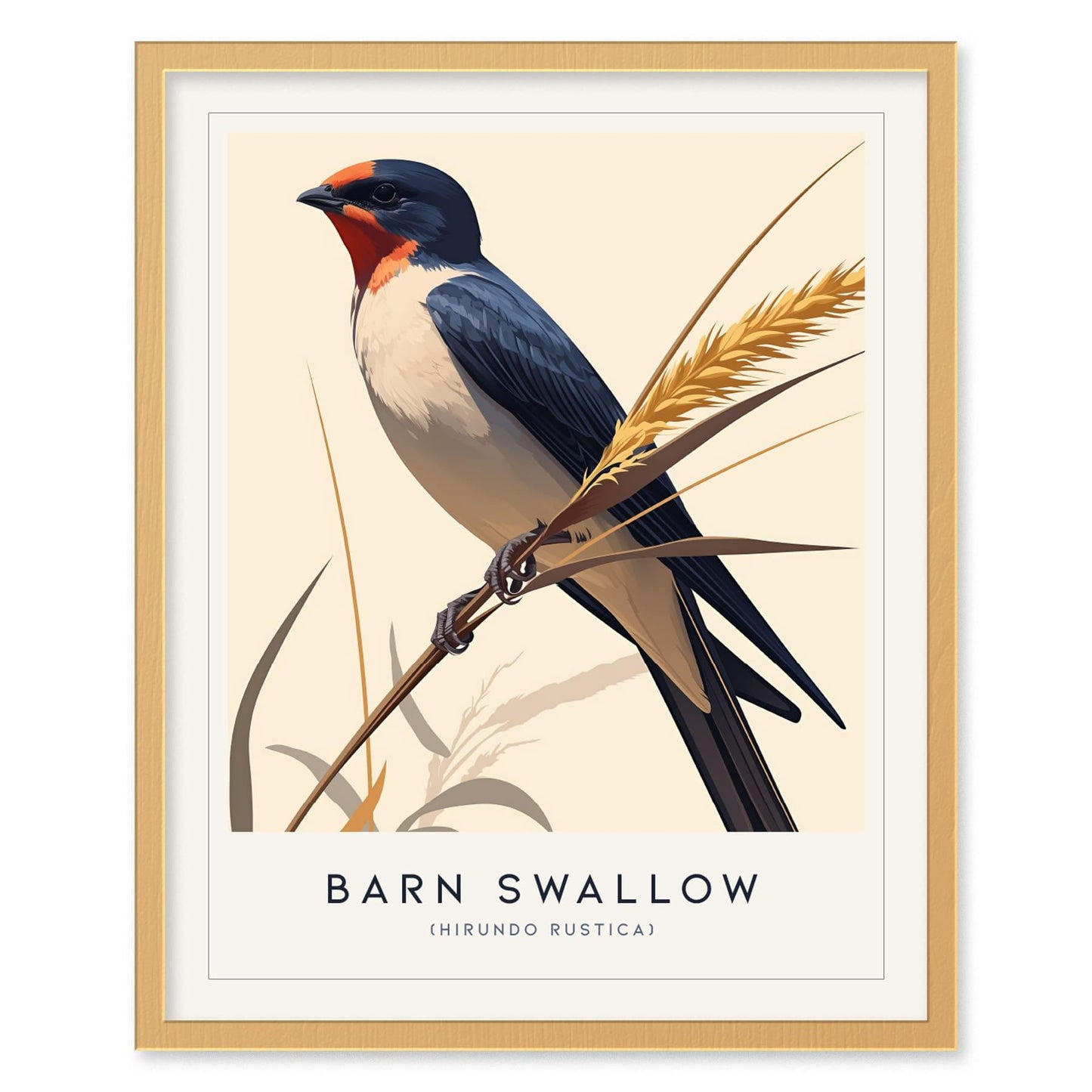 Barn Swallow Bird Framed Poster | Graceful Flight Audubon Fine Art | Cottagecore Wildlife Modern Design Print | Farm House Wall Decor - Swell Scenes