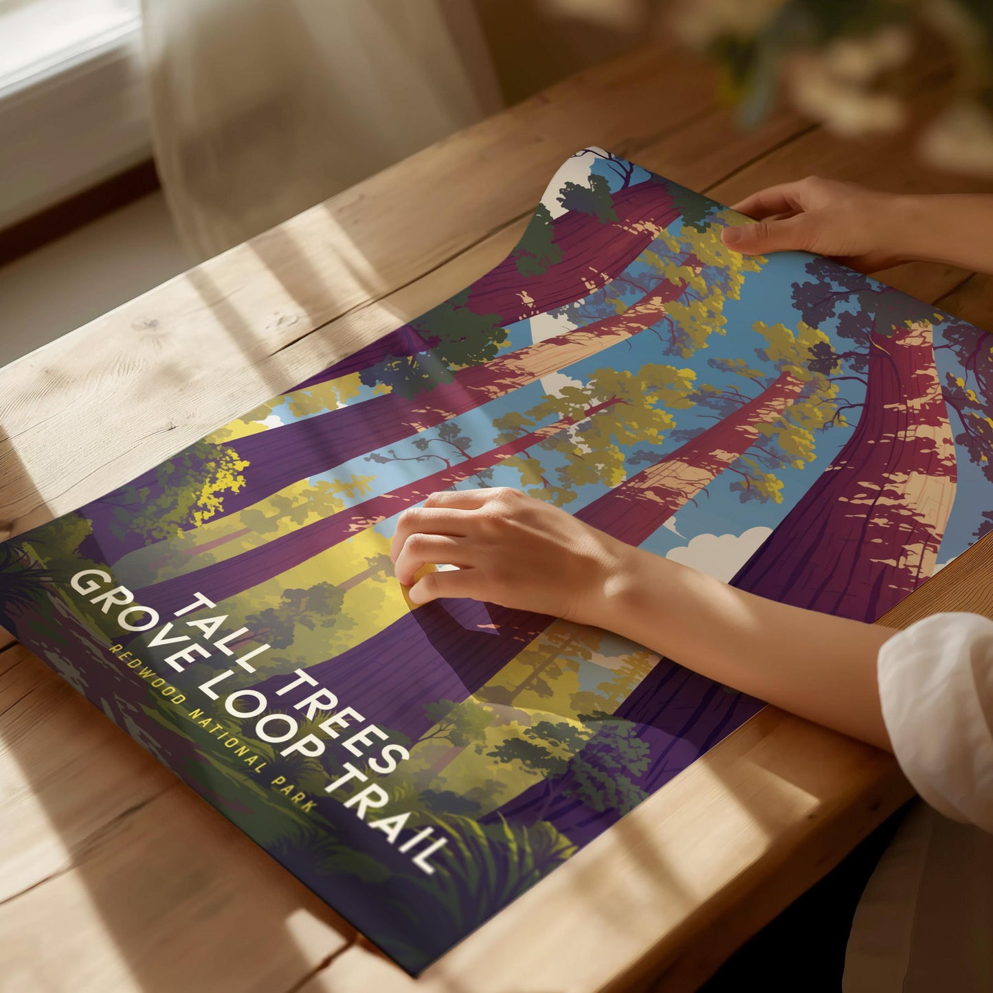 Person holding a poster of Tall Trees Grove Loop Trail on a wooden table.