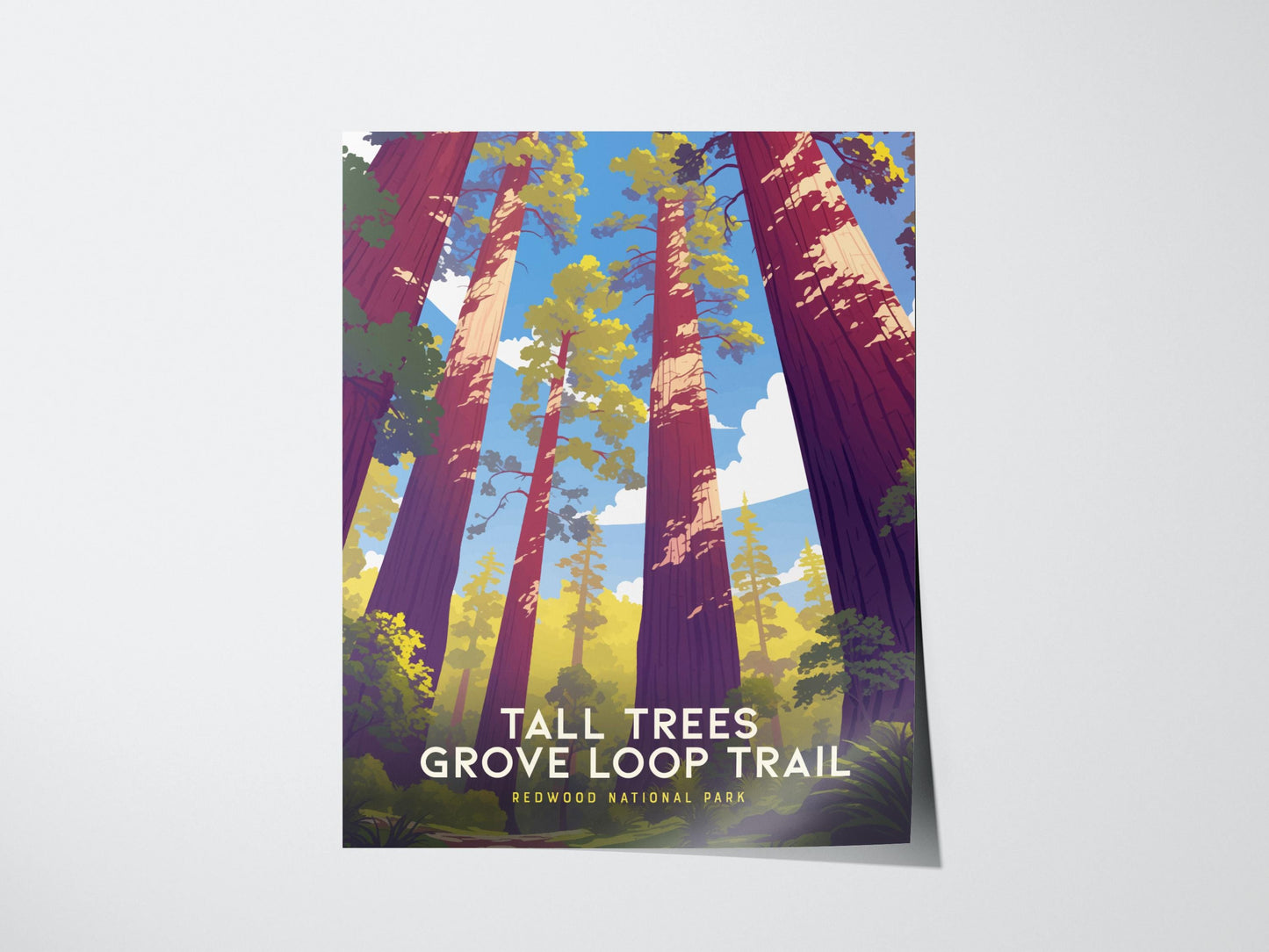 Tall Trees Grove Redwood National Park poster featuring ancient coast redwoods and hiking trail with world's tallest trees California wall art