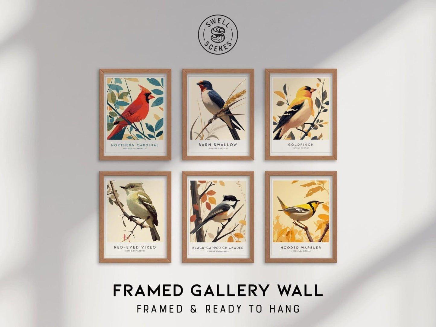 Bird Art Gallery Wall FRAMED or UNFRAMED Pick 6 Audubon US Birds Poster Set Birder Gift Scientific Names Staging Artwork Collection | S6-2 - Swell Scenes