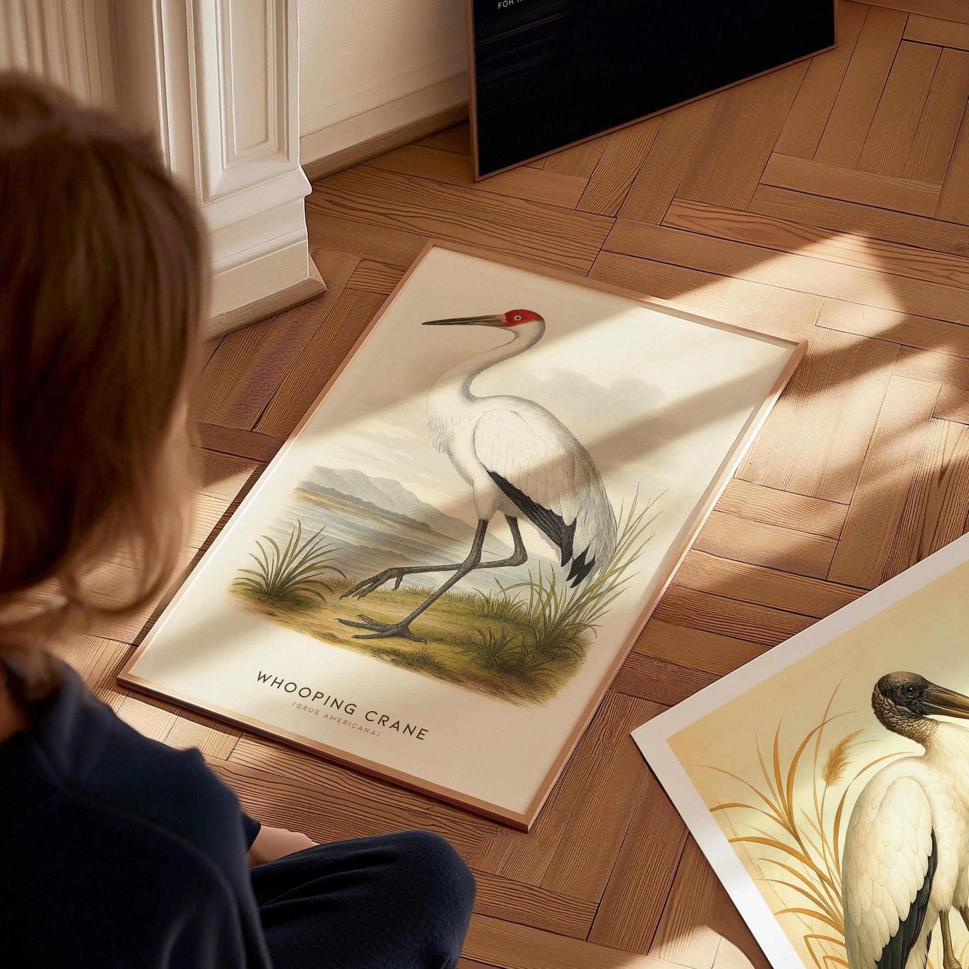 Natural wood framed Whooping Crane print showing elegant Audubon inspired wildlife bird illustration artwork