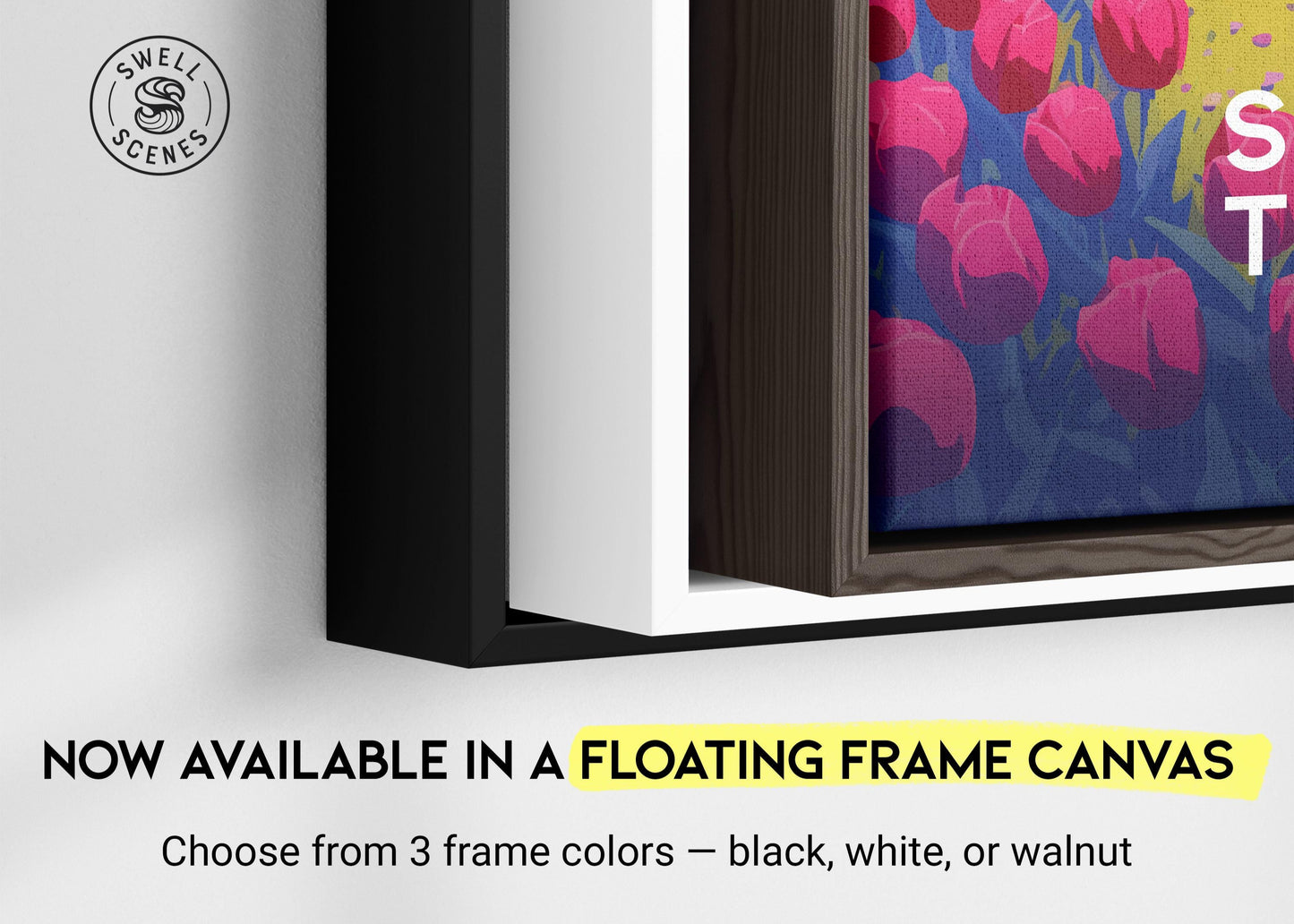 Framed artwork with a floating frame canvas option on a white wall.