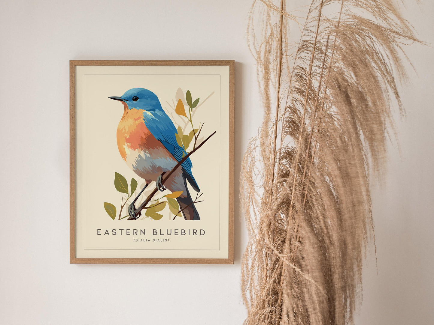 Eastern Bluebird Iconic Bird Lover Wildlife Nature Songbird Wall Art Decor Audubon Print
