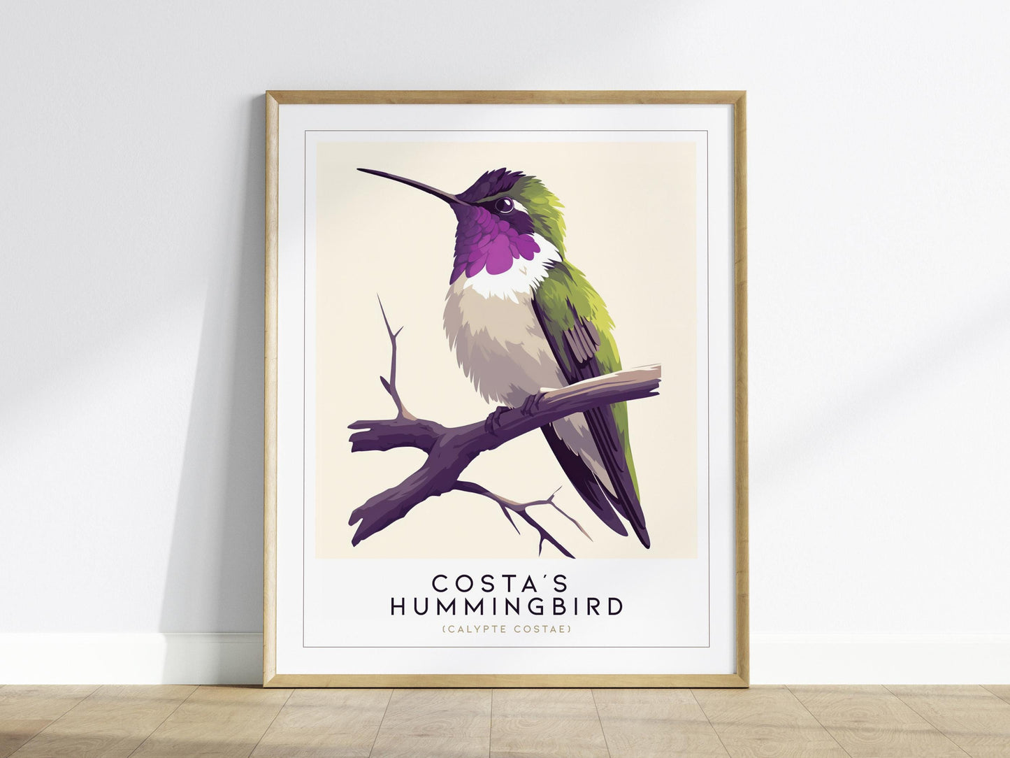 Costas Hummingbird Audubon Print | Bird Lover Wall Art | Framed or Unframed