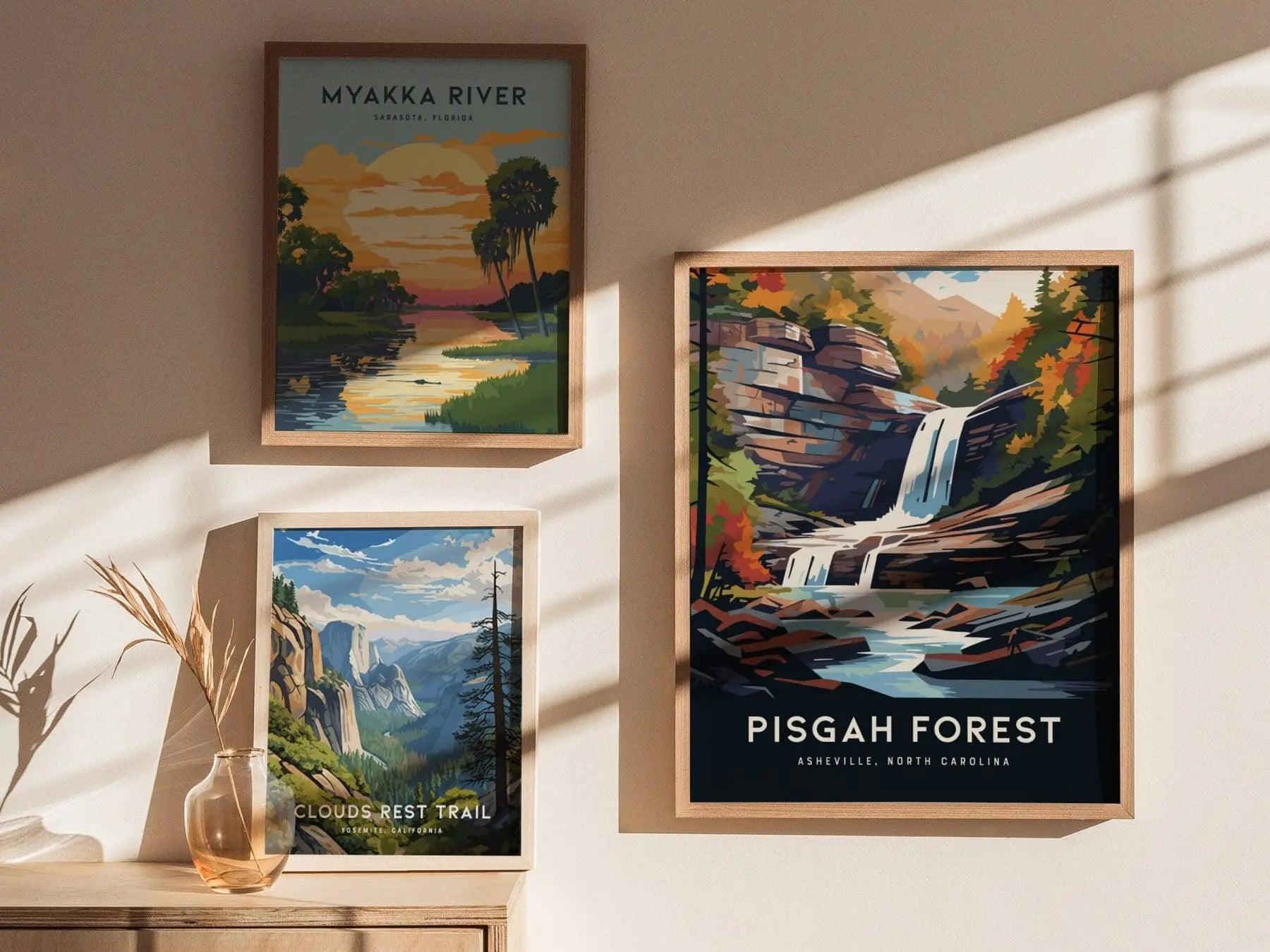 Pisgah Forest, Asheville, North Carolina Mountains - Framed Wall Art Poster Design Travel Print Hiker Backpacker Waterfall Gift Home Decor - Swell Scenes