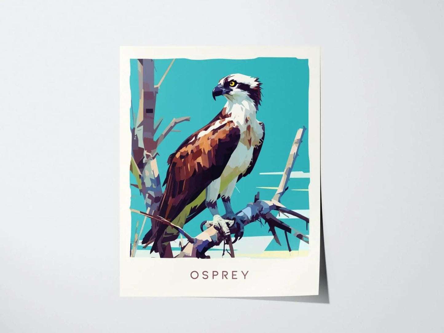 Osprey, Florida Birds Wildlife Framed Wall Art - Fish Hawk Tropical Bird Of Prey Poster Design Travel Print Home Beach Cottage Decor Set - Swell Scenes