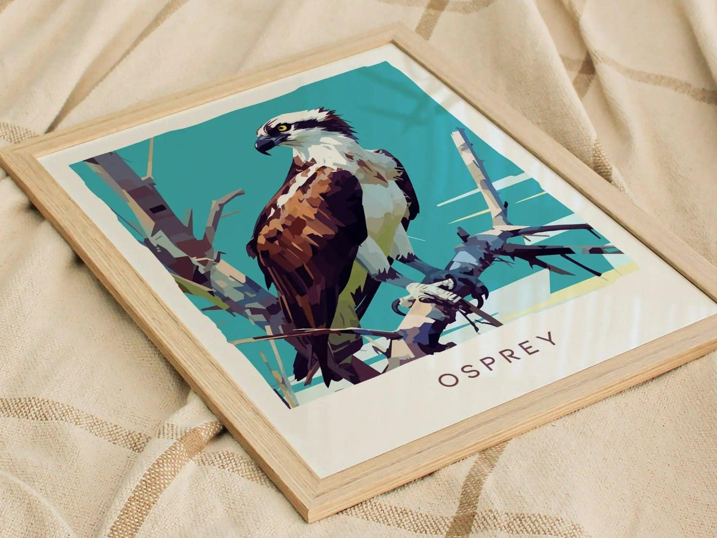 Osprey, Florida Birds Wildlife Framed Wall Art - Fish Hawk Tropical Bird Of Prey Poster Design Travel Print Home Beach Cottage Decor Set - Swell Scenes