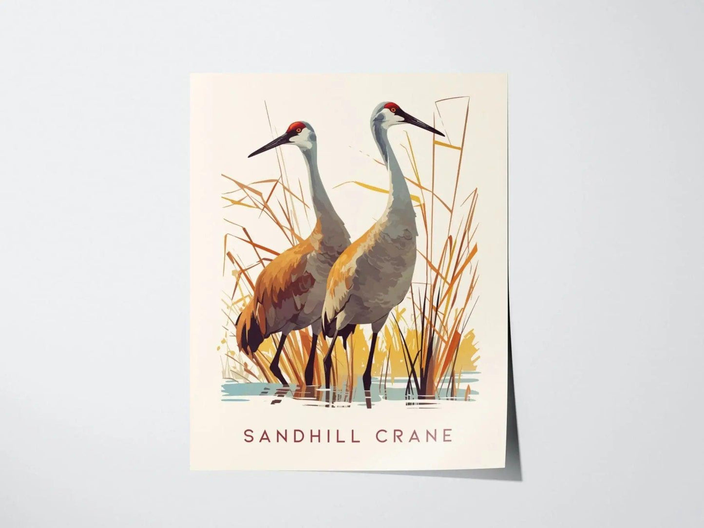 Sandhill Cranes, Florida Birds Wildlife Framed Wall Art - Iconic Bird Poster Design Travel Print Lake Home Beach Cottage Birder Decor Set - Swell Scenes