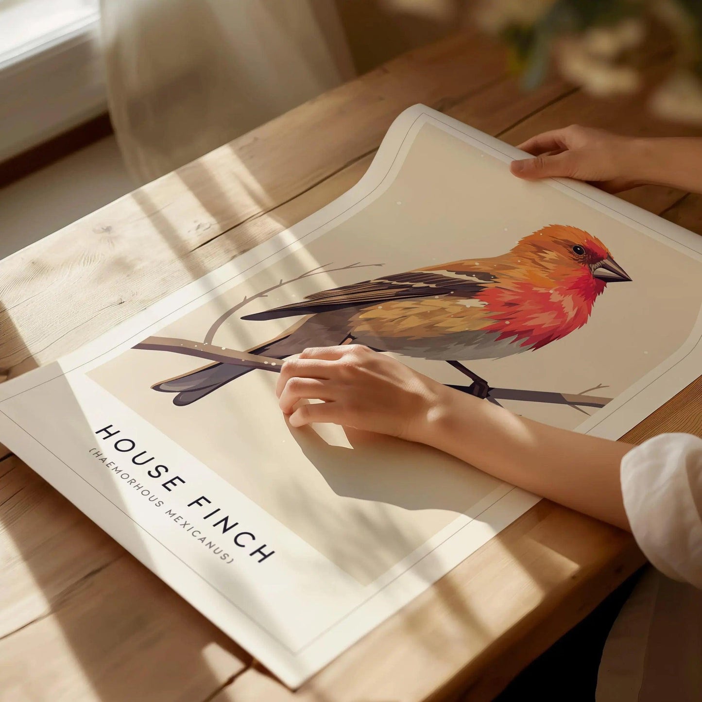 House Finch Framed Poster | Vibrant Bird Illustration Print | National Audubon Wildlife Wall Art | Bird Watcher Nature Lover Farm House Cottagecore Decor - Swell Scenes
