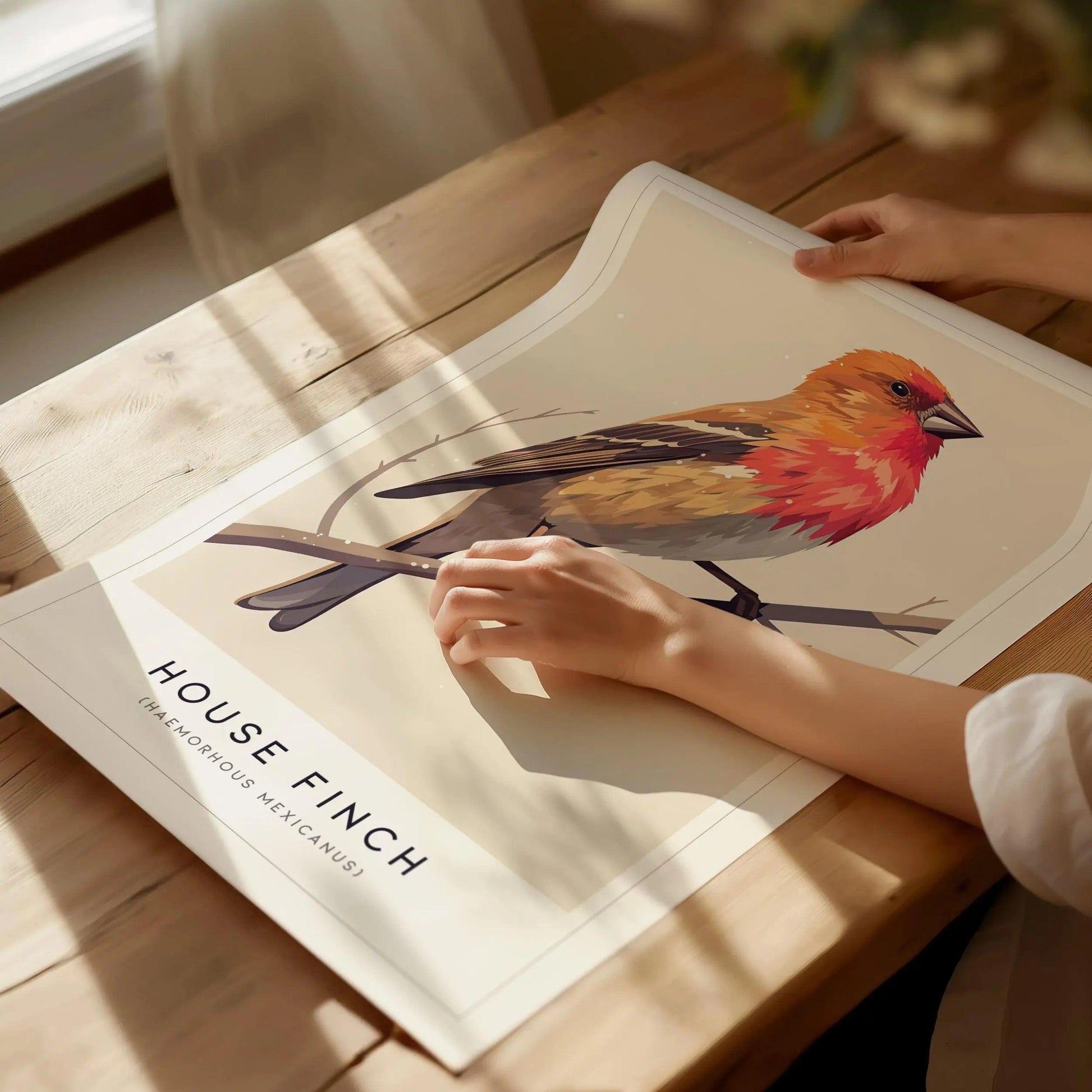 House Finch Framed Poster | Vibrant Bird Illustration Print | National Audubon Wildlife Wall Art | Bird Watcher Nature Lover Farm House Cottagecore Decor - Swell Scenes
