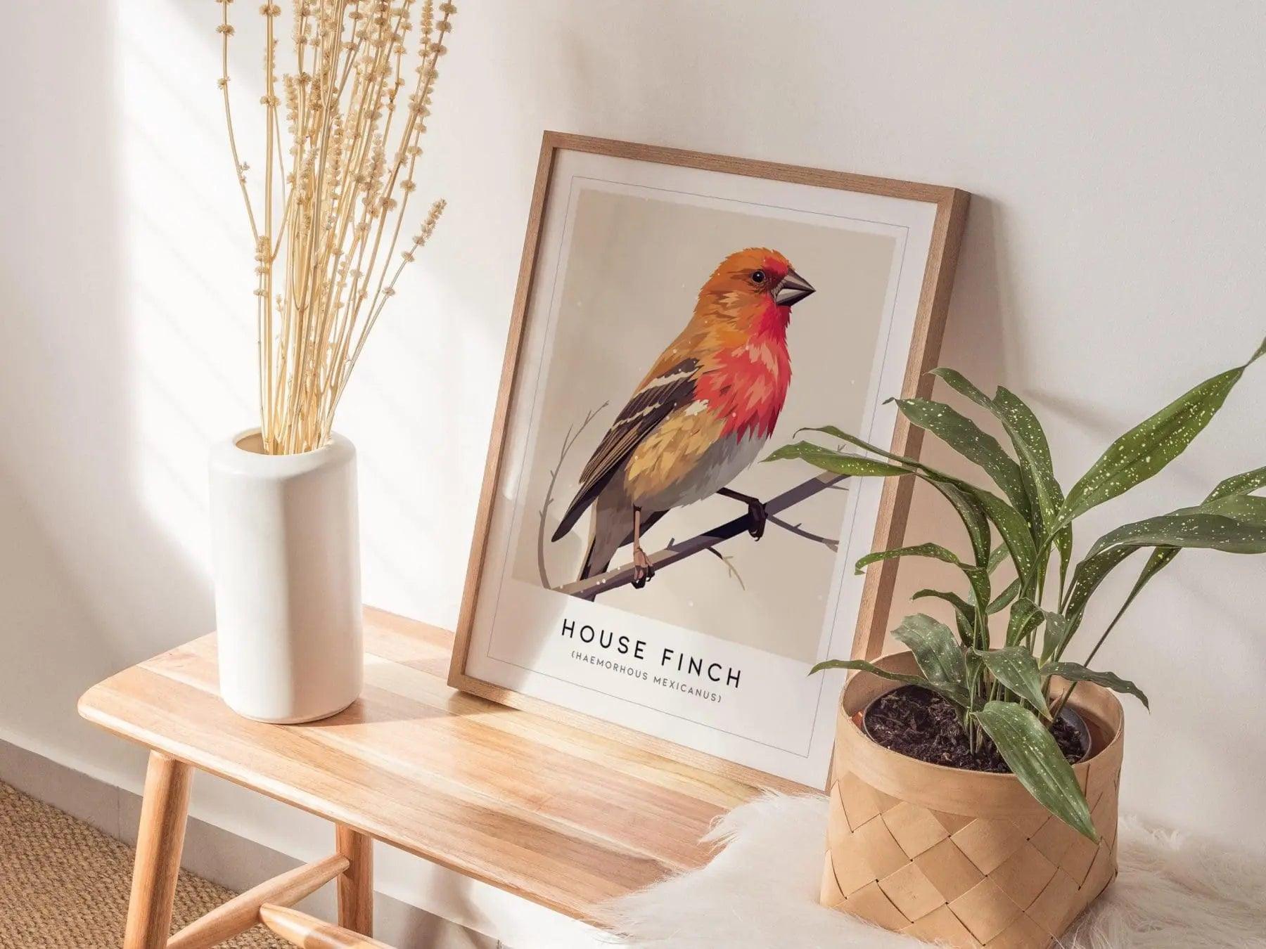 House Finch Framed Poster | Vibrant Bird Illustration Print | National Audubon Wildlife Wall Art | Bird Watcher Nature Lover Farm House Cottagecore Decor - Swell Scenes