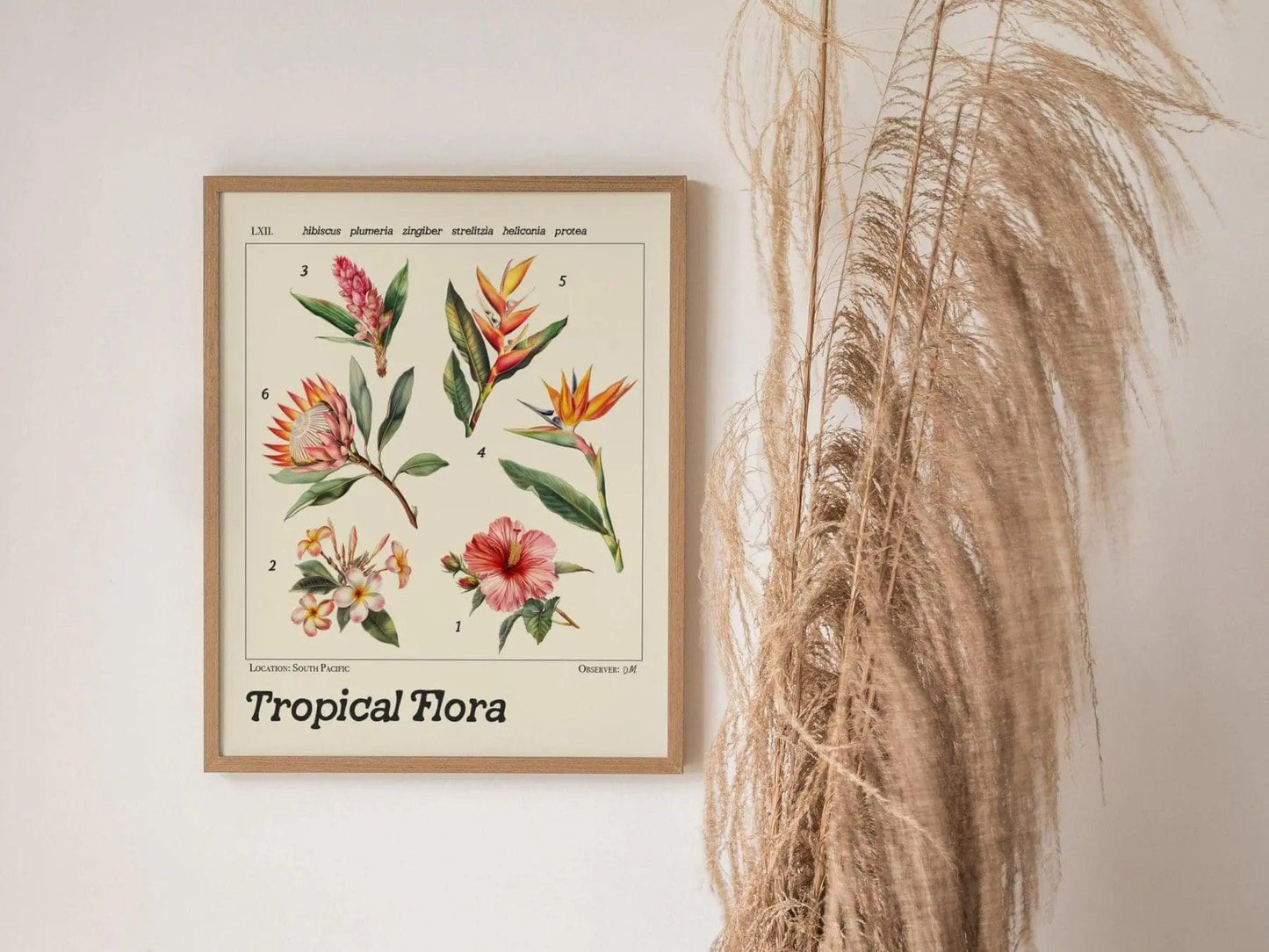 Tropical flowers botanical art displayed in beach house with Hibiscus Plumeria Bird of Paradise vintage illustration