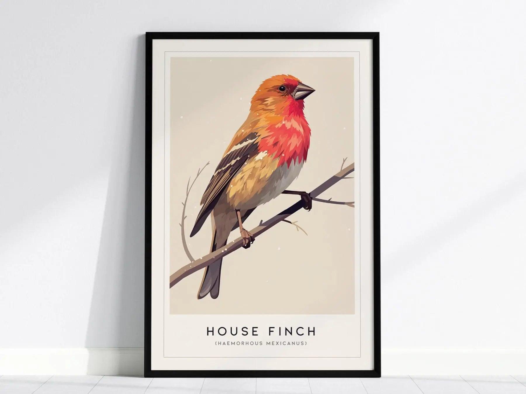 House Finch Framed Poster | Vibrant Bird Illustration Print | National Audubon Wildlife Wall Art | Bird Watcher Nature Lover Farm House Cottagecore Decor - Swell Scenes