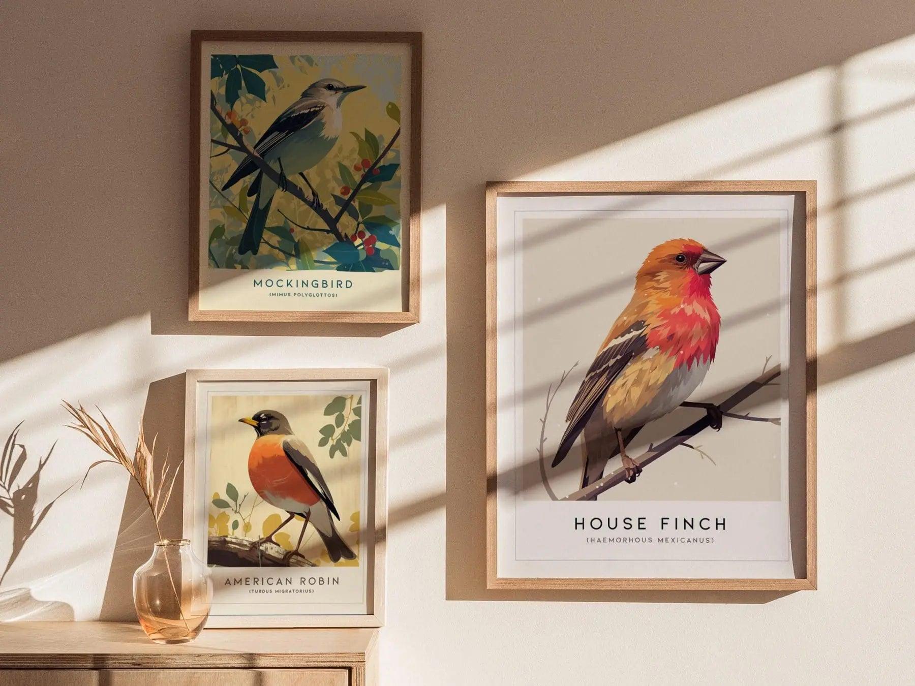 House Finch Framed Poster | Vibrant Bird Illustration Print | National Audubon Wildlife Wall Art | Bird Watcher Nature Lover Farm House Cottagecore Decor - Swell Scenes