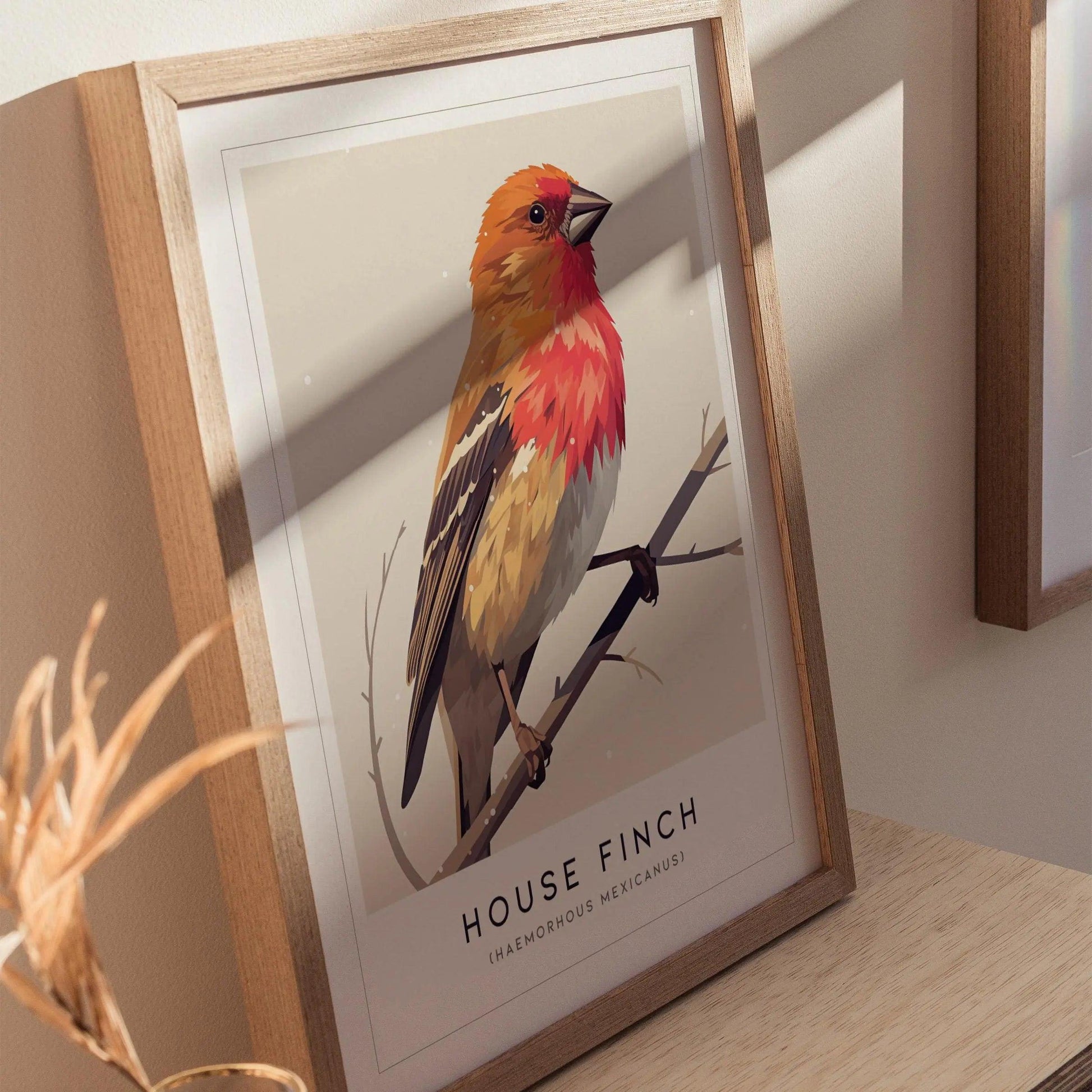 House Finch Framed Poster | Vibrant Bird Illustration Print | National Audubon Wildlife Wall Art | Bird Watcher Nature Lover Farm House Cottagecore Decor - Swell Scenes