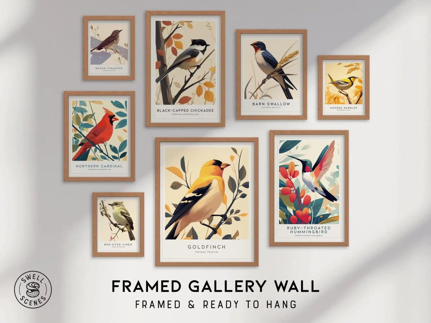 Modern Vintage Birds Gallery Wall FRAMED or UNFRAMED | 8 Set Poster Audubon Cardinal Hummingbird Goldfinch Art Series | Swell Scenes | S8-3 - Swell Scenes