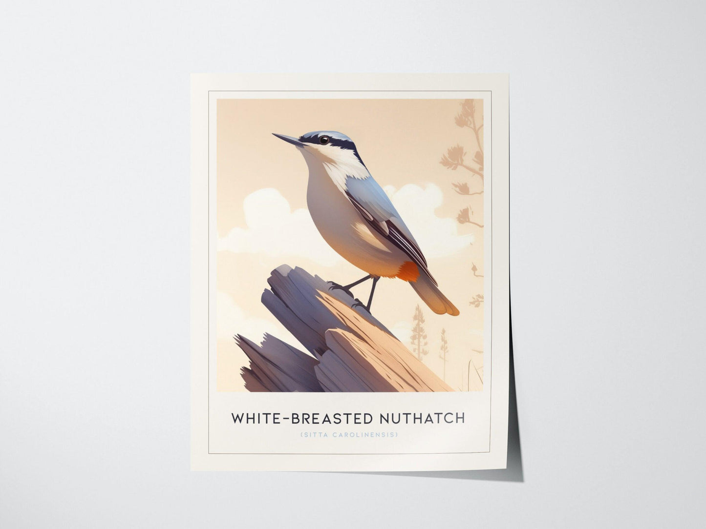 White-Breasted Nuthatch bird poster featuring minimalist illustration on branch with pastel background wildlife wall art