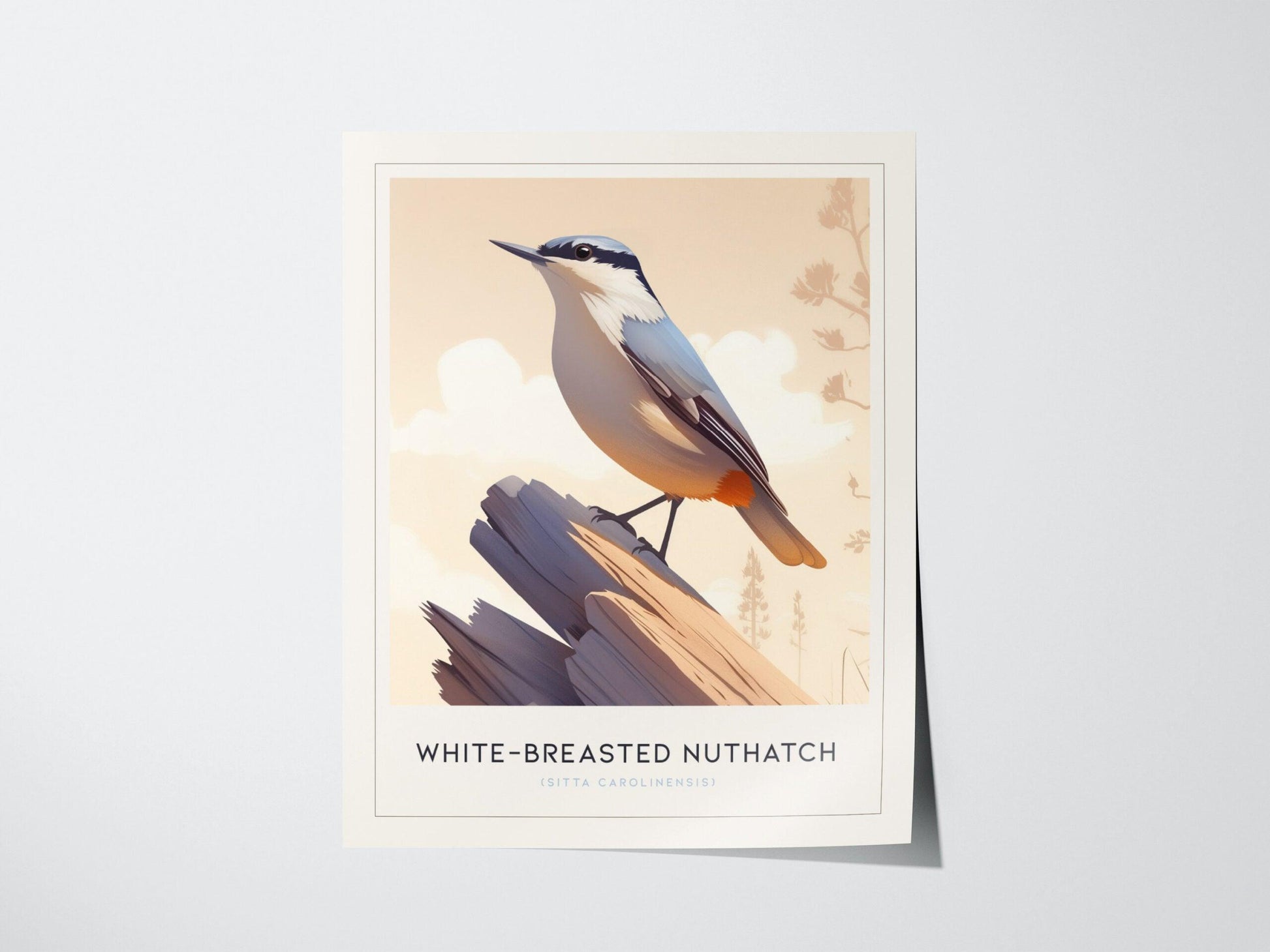 White-Breasted Nuthatch bird poster featuring minimalist illustration on branch with pastel background wildlife wall art