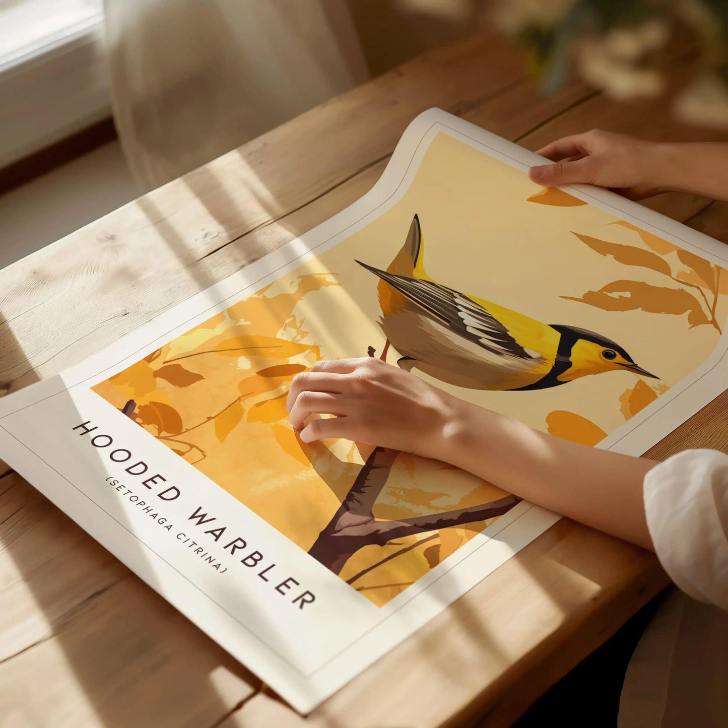 Hooded Warbler Bird Modern Framed Wall Art | Minimalist Nature Audubon Wildlife Poster | Cottagecore Farm House Style Decor Print - Swell Scenes