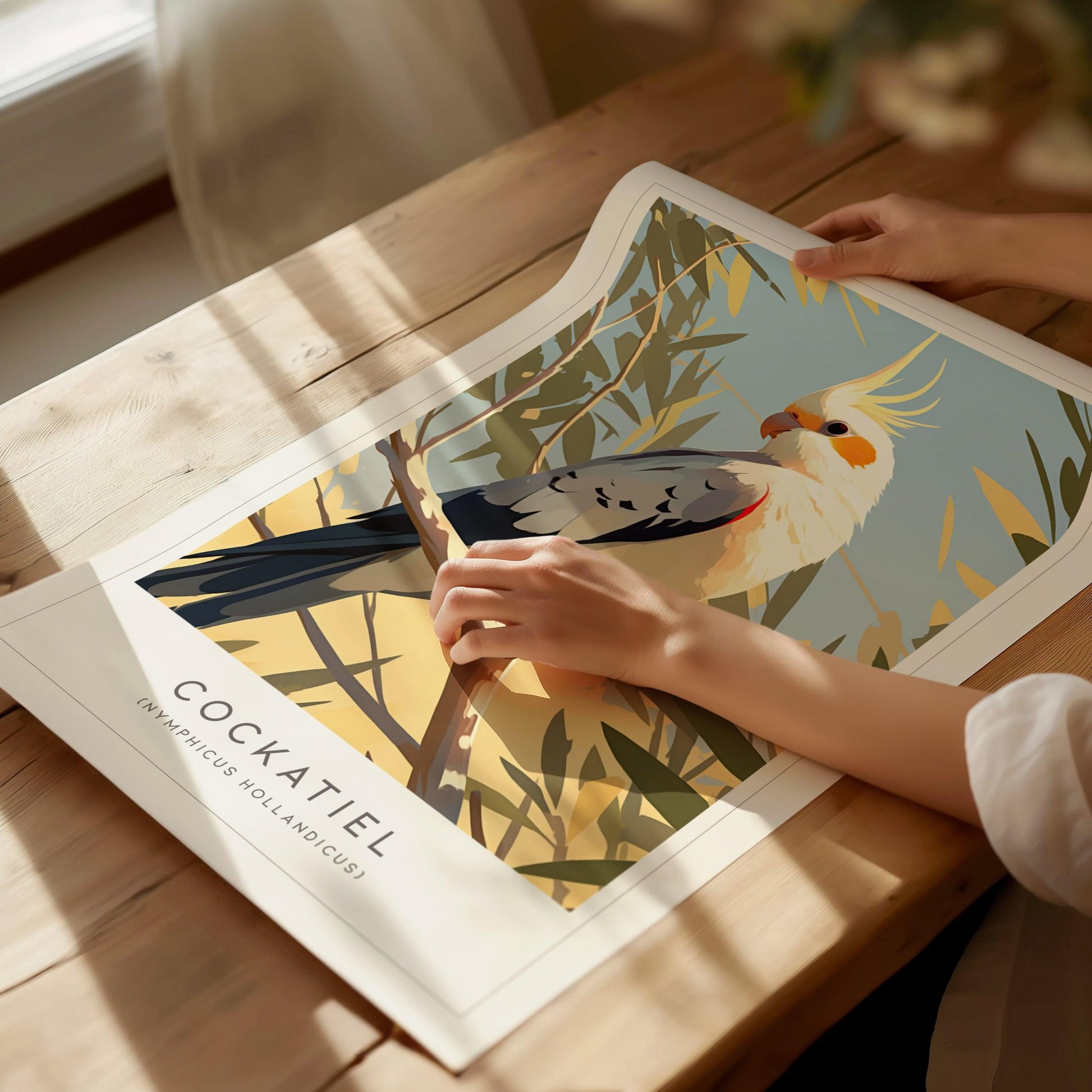 Cockatiel Parakeet Framed Poster | Parrot Bird Lover Modern Wall Art | Weero Cockatoo Australia Audubon Print Decor - Swell Scenes