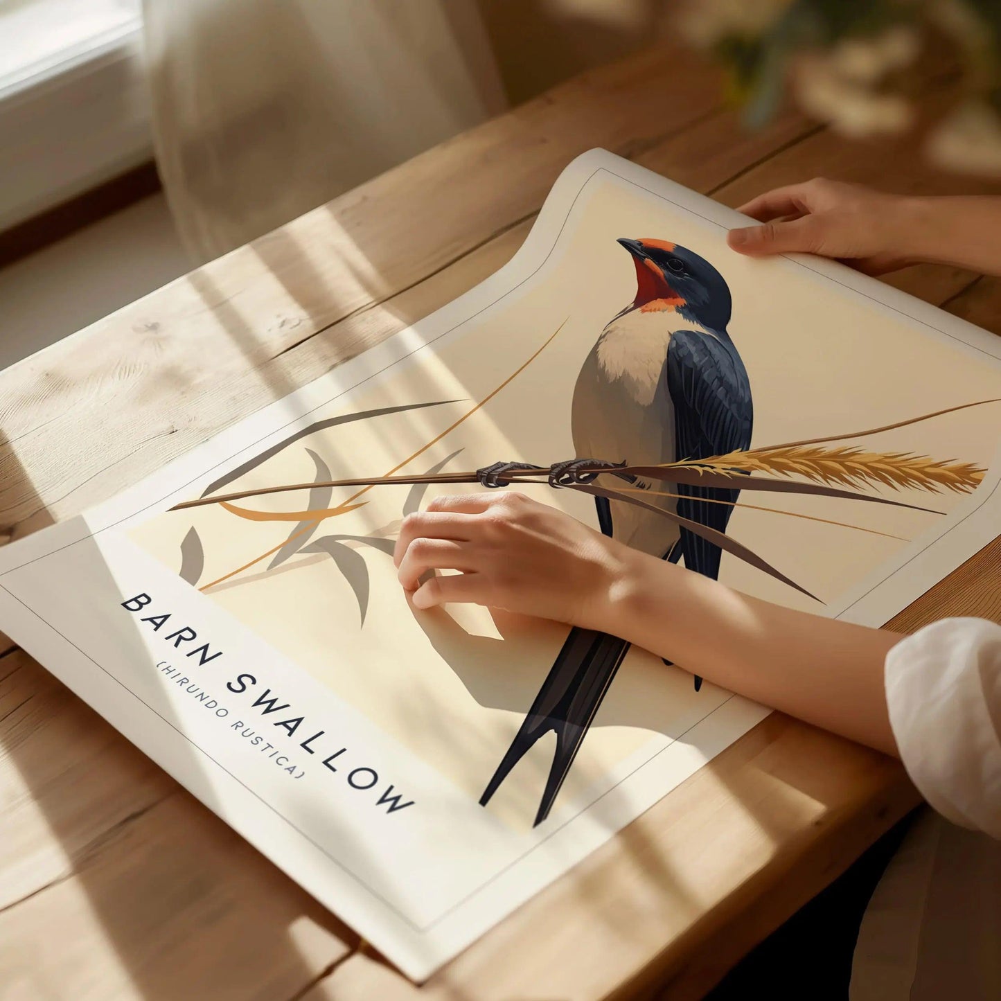 Barn Swallow Bird Framed Poster | Graceful Flight Audubon Fine Art | Cottagecore Wildlife Modern Design Print | Farm House Wall Decor - Swell Scenes