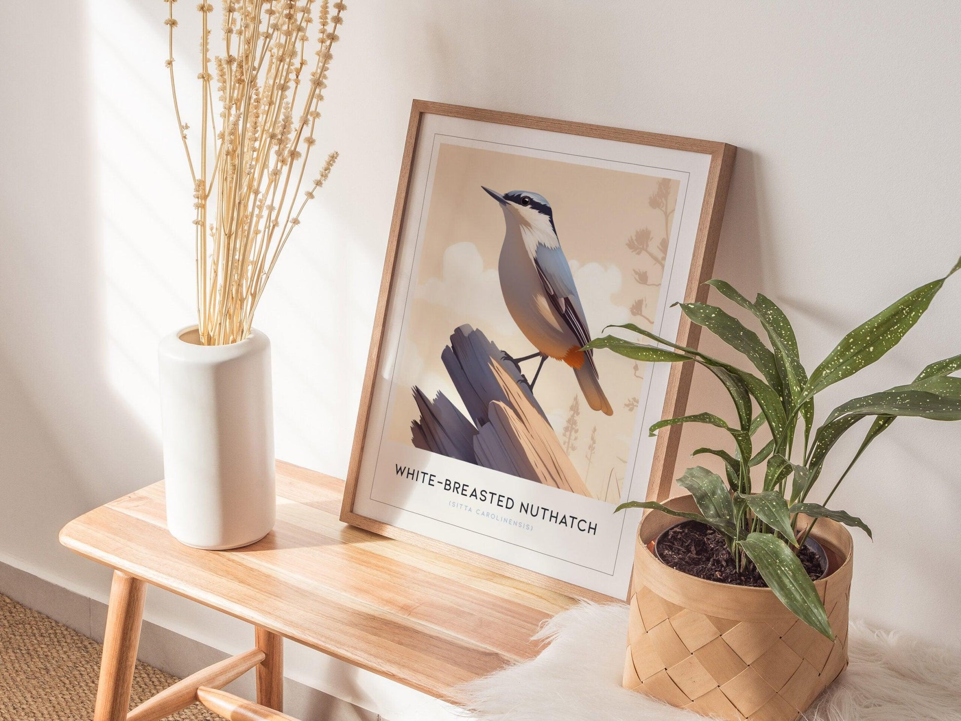 White-Breasted Nuthatch bird poster featuring minimalist illustration on branch with pastel background wildlife wall art