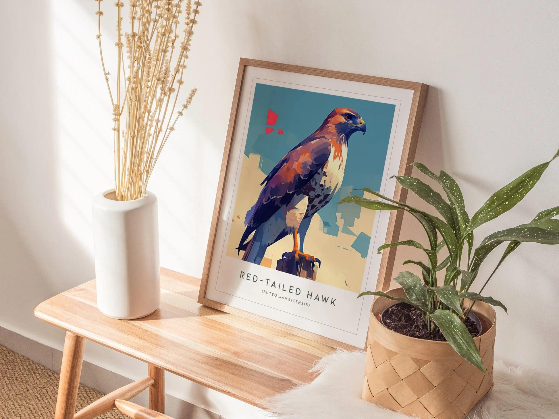 Red-tailed Hawk Modern Framed Wall Art | Cottagecore Minimalist Wildlife Poster | Red Tail Bird of Prey Audubon Print | Farm House Nature Decor - Swell Scenes