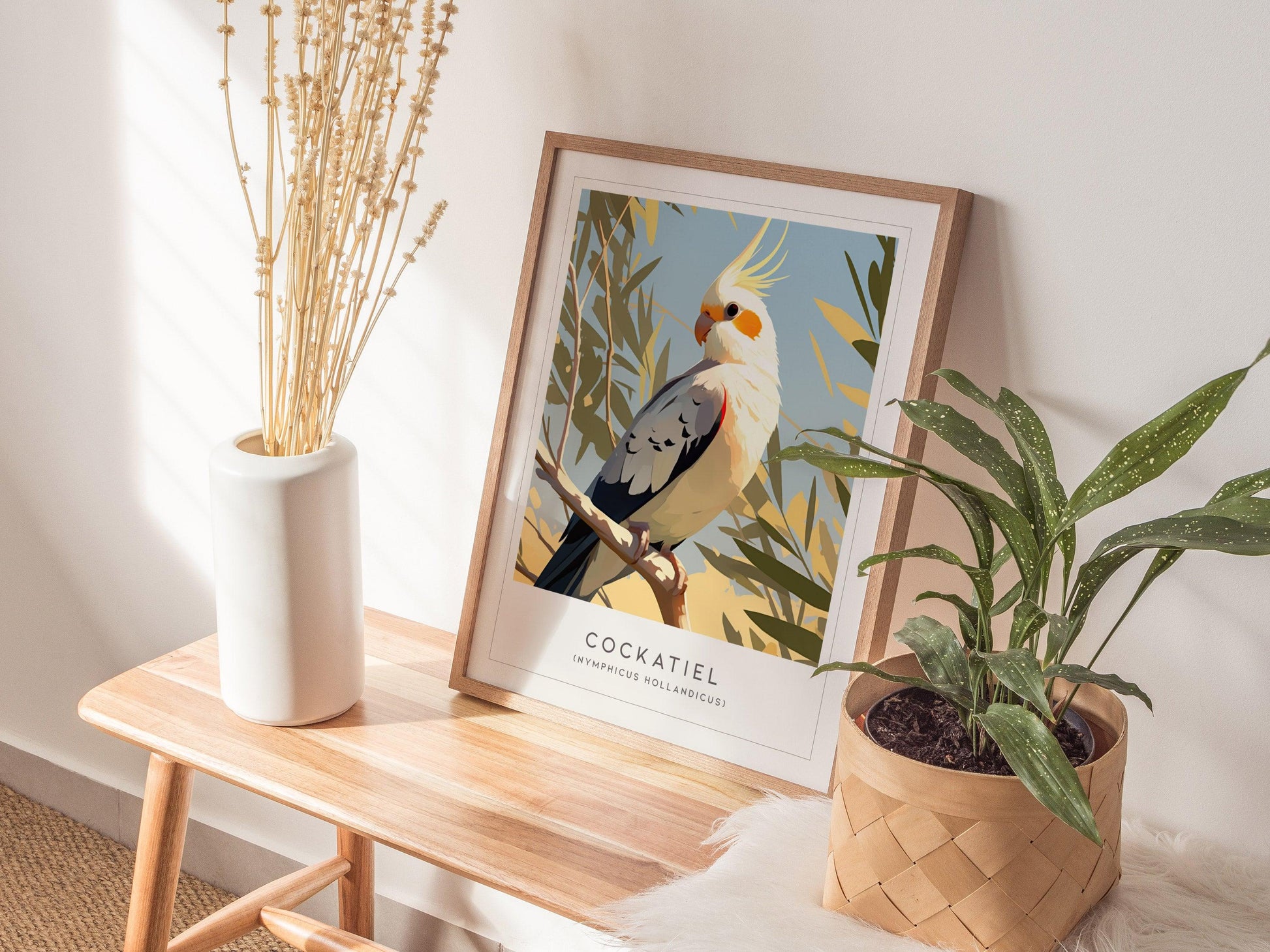 Cockatiel Parakeet Framed Poster | Parrot Bird Lover Modern Wall Art | Weero Cockatoo Australia Audubon Print Decor - Swell Scenes