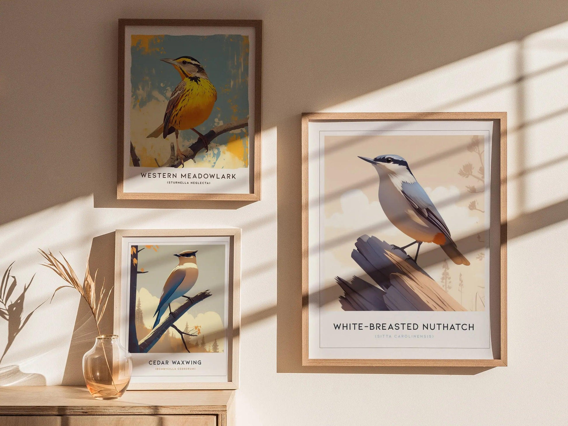 Framed bird prints on a wall with sunlight casting shadows