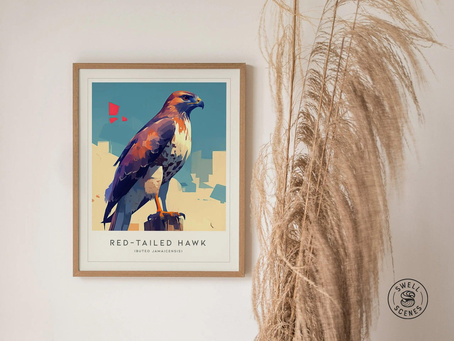 Red-tailed Hawk Modern Framed Wall Art | Cottagecore Minimalist Wildlife Poster | Red Tail Bird of Prey Audubon Print | Farm House Nature Decor - Swell Scenes