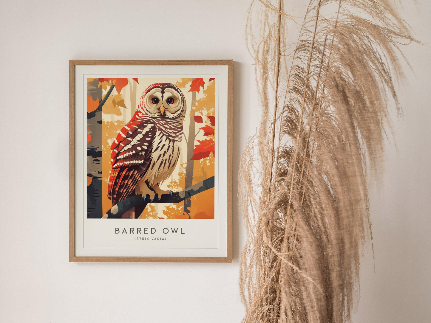Barred Owl Framed Poster | Hoot Owl Nature Bird Lover Nature Modern Wall Art | Bird Of Prey Audubon Print Farm House Decor - Swell Scenes