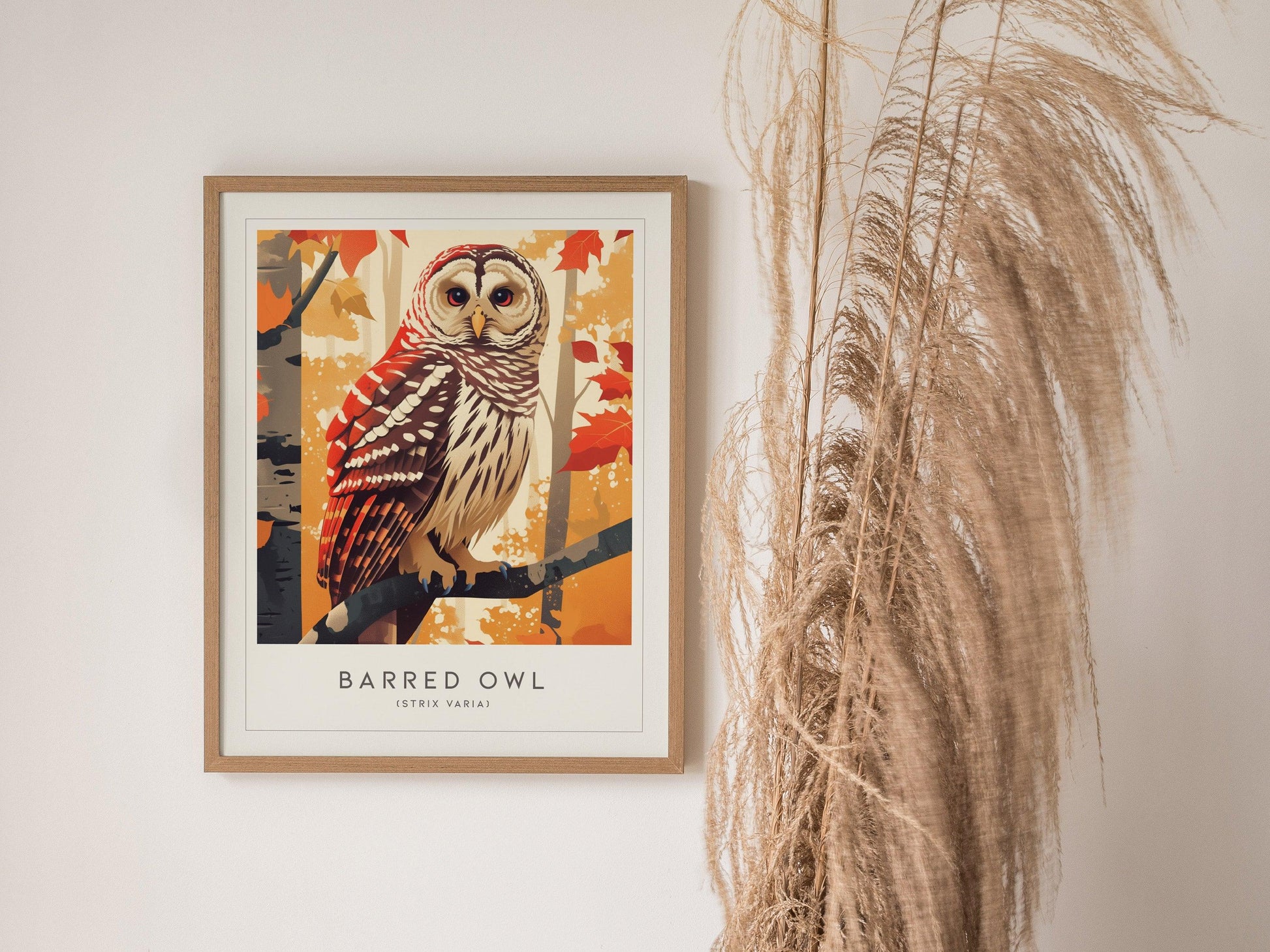 Barred Owl Framed Poster | Hoot Owl Nature Bird Lover Nature Modern Wall Art | Bird Of Prey Audubon Print Farm House Decor - Swell Scenes